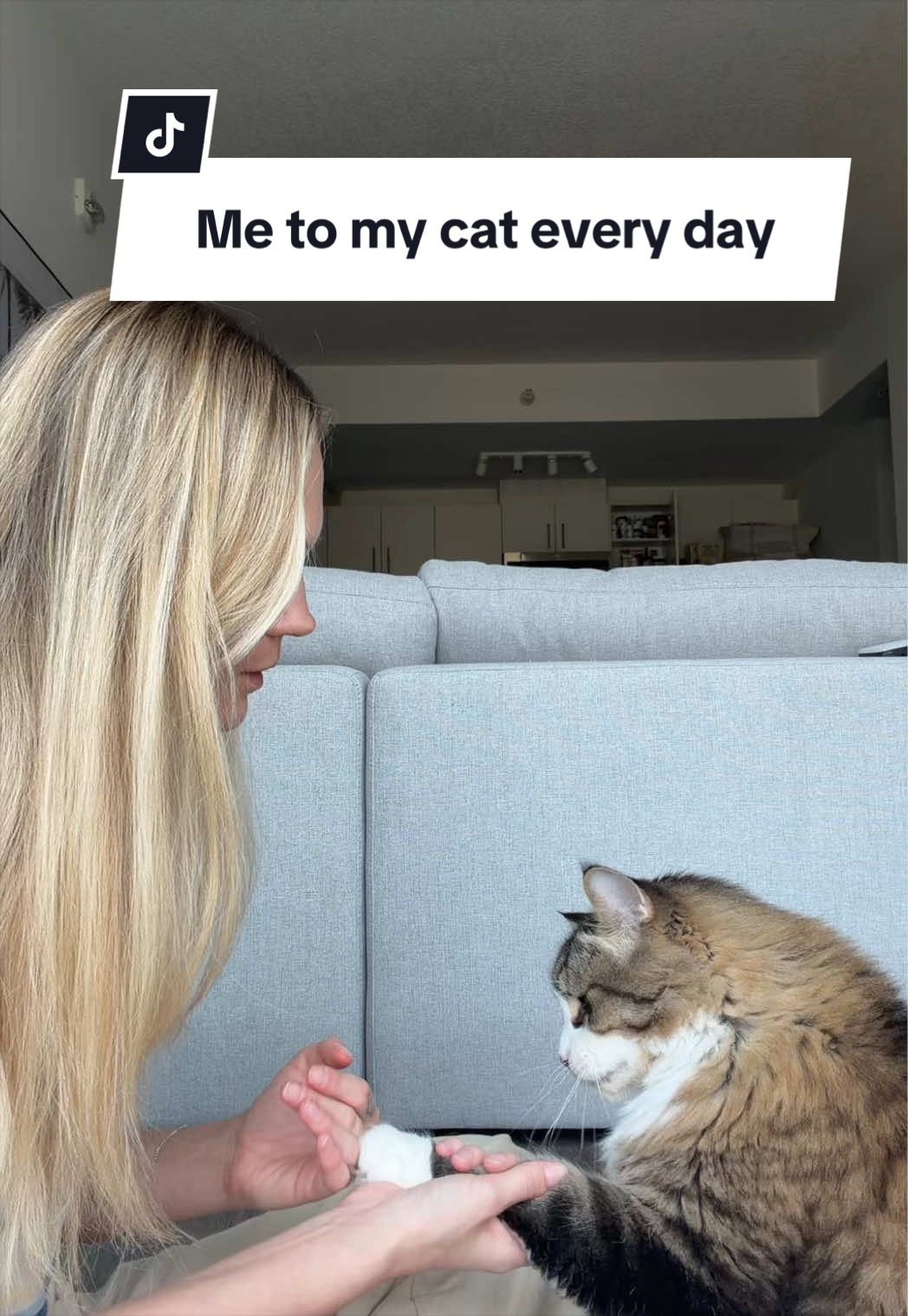 @Tuft & Paw