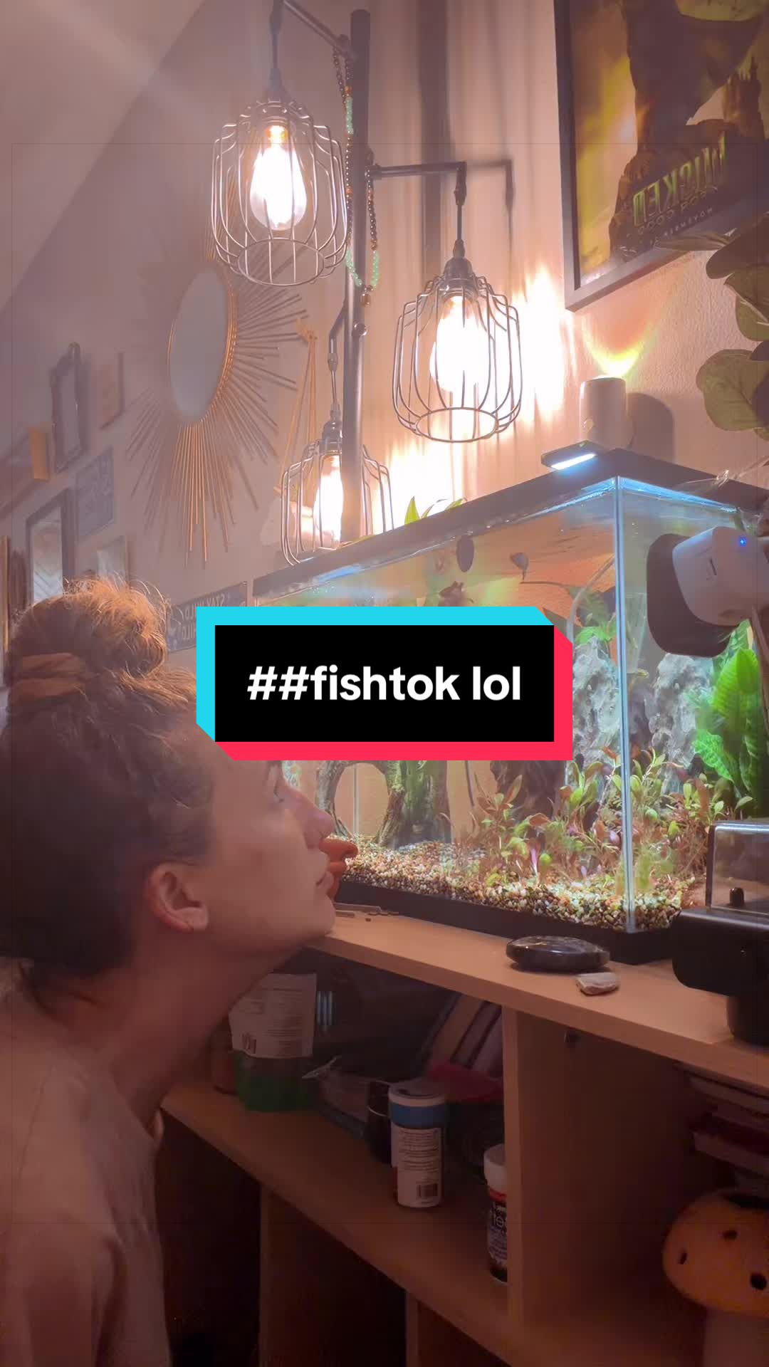 @living_in_phases