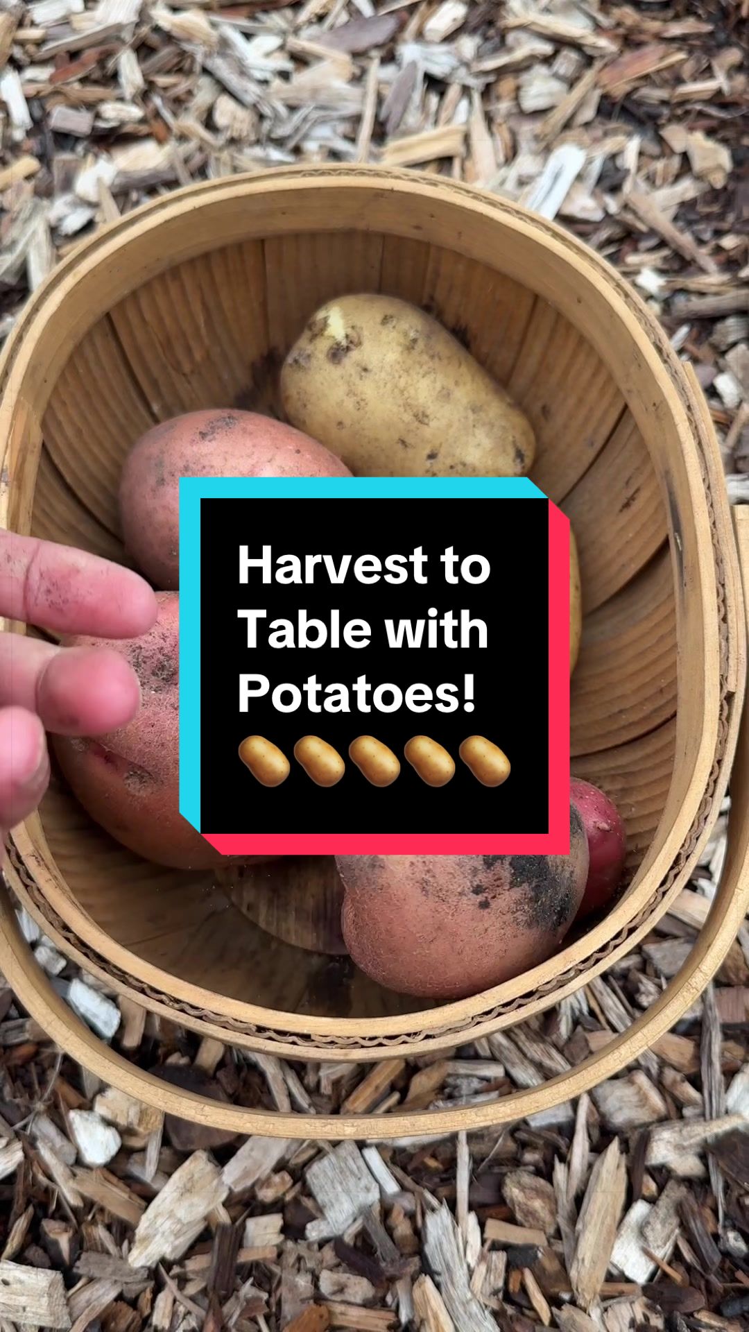 @VeryGoodGardening