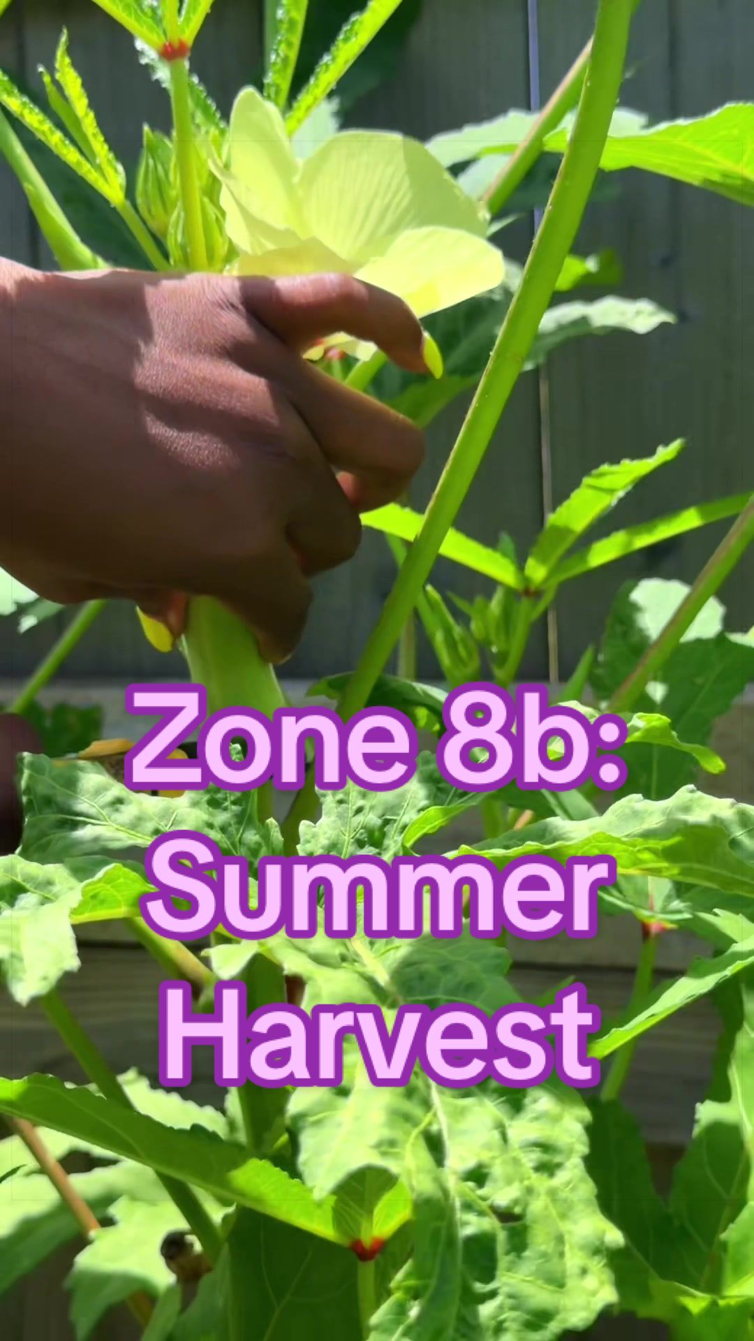 @Our Texas Garden | zone8b