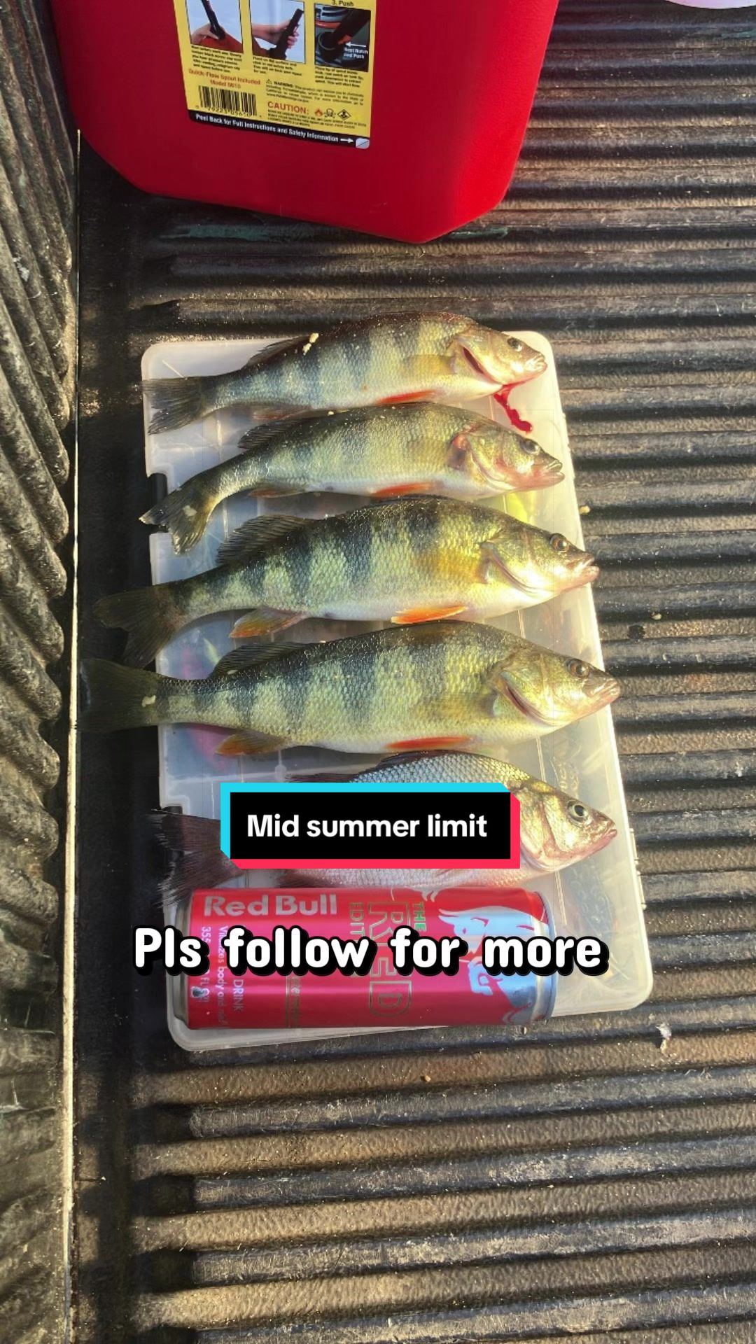 @baltimorebanditfishing