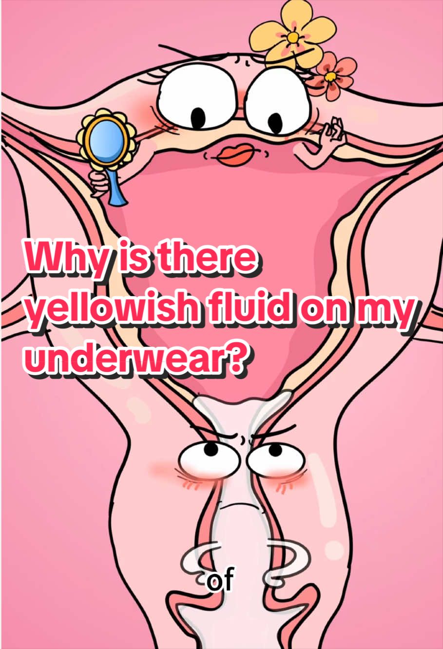 @Funny Animations
