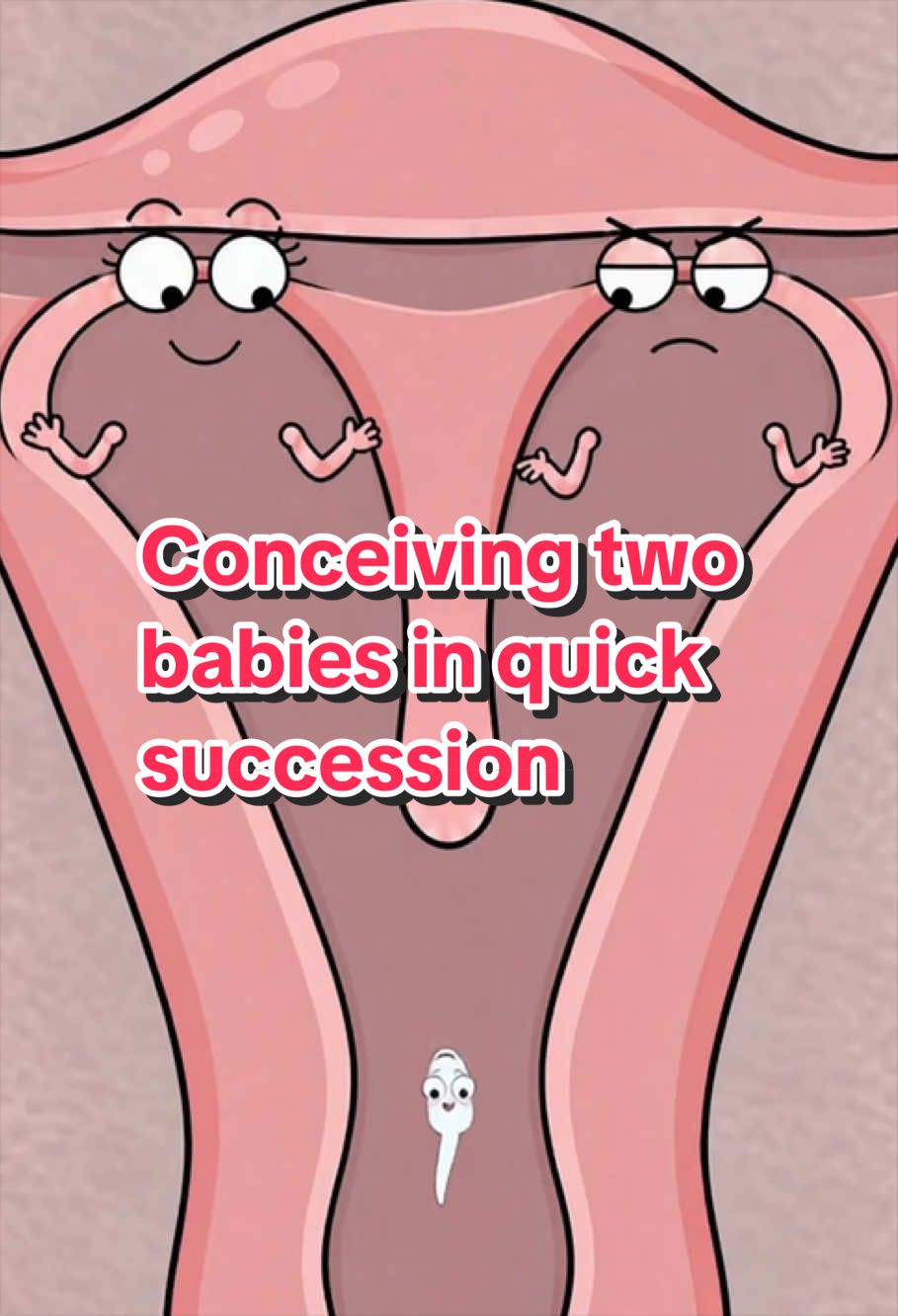 @Funny Animations
