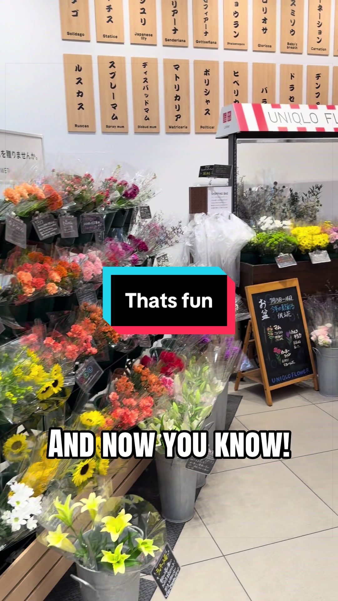 @Justin