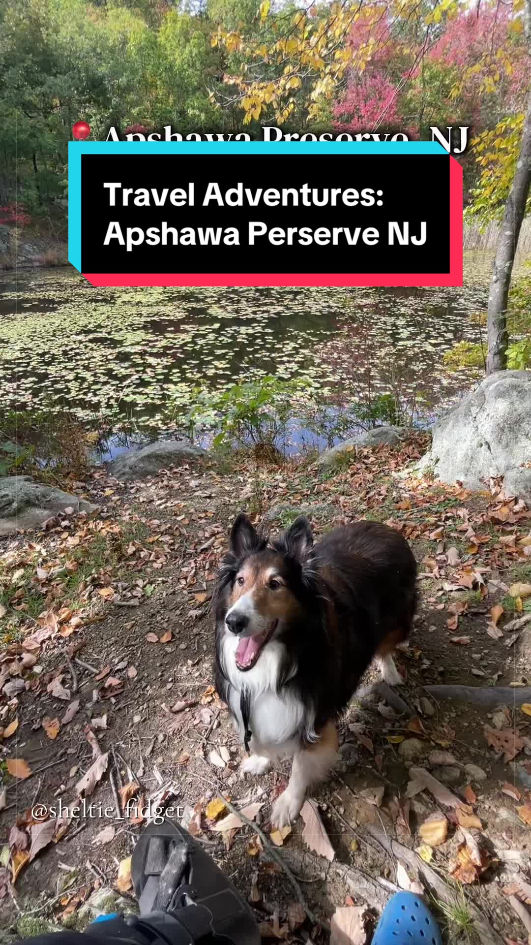 @Dakota & Pups