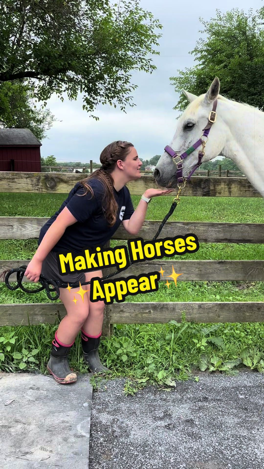 @Days End Farm Horse Rescue