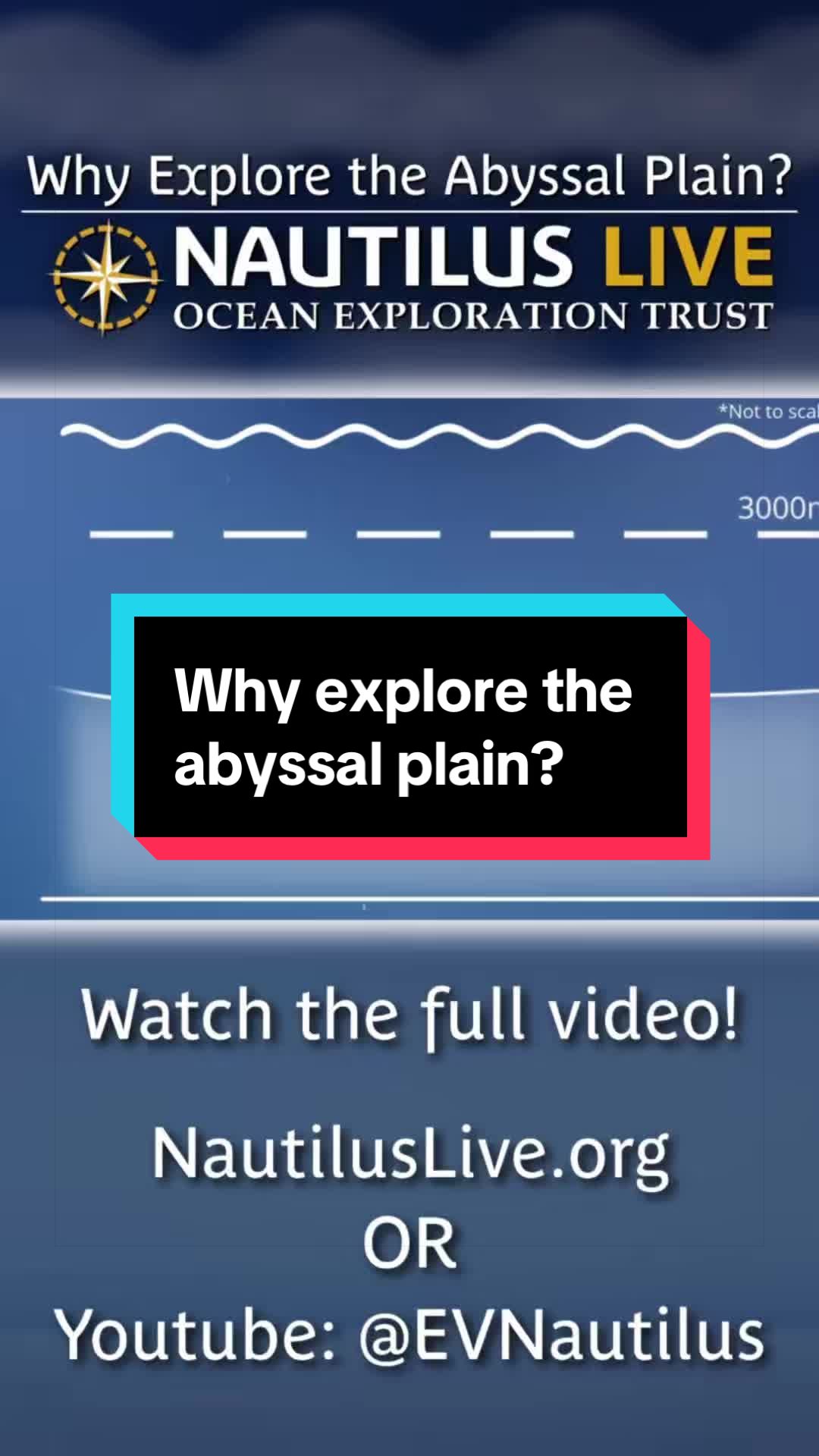 @Ocean Exploration Trust