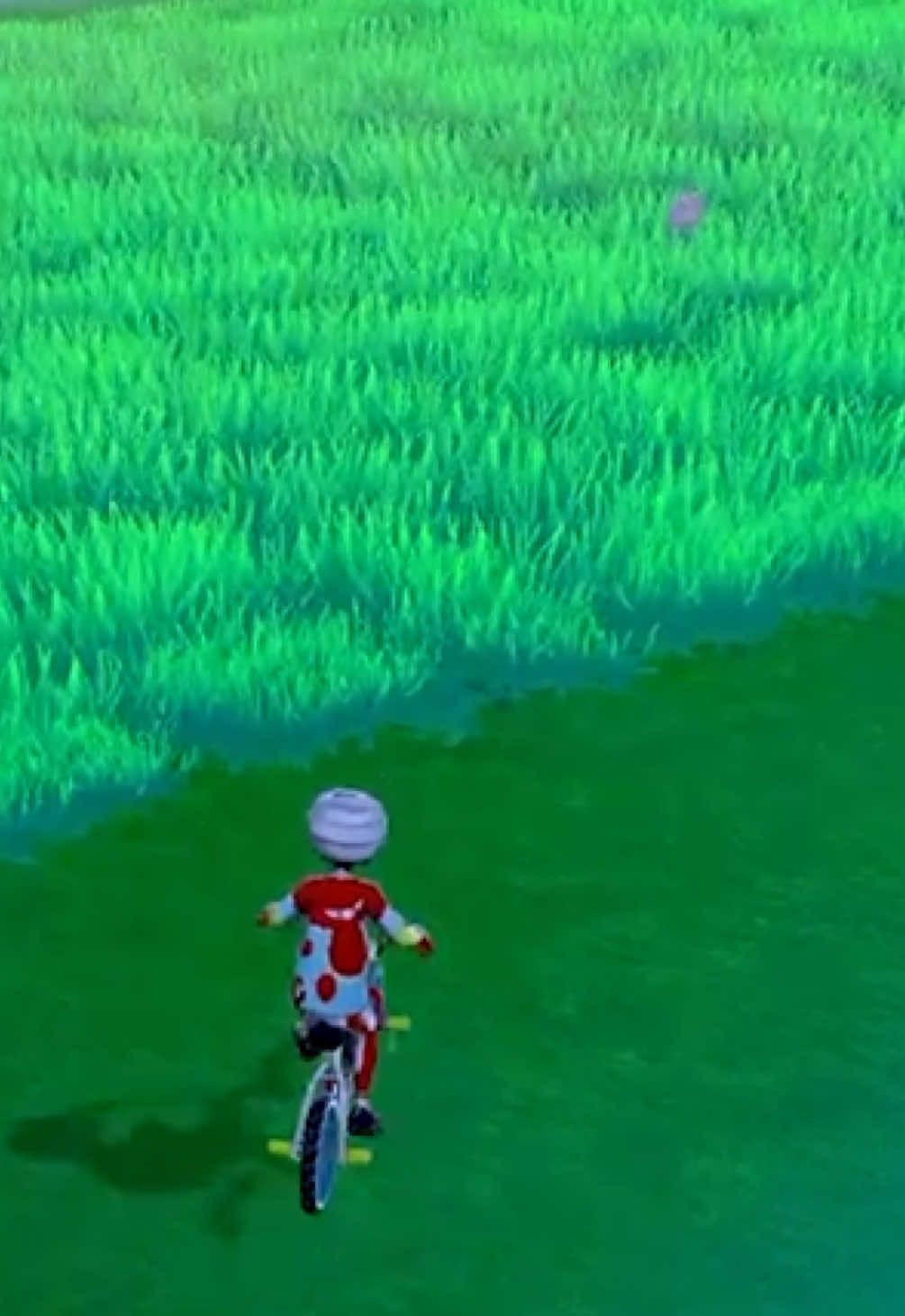 @TheShinyHuntingGod