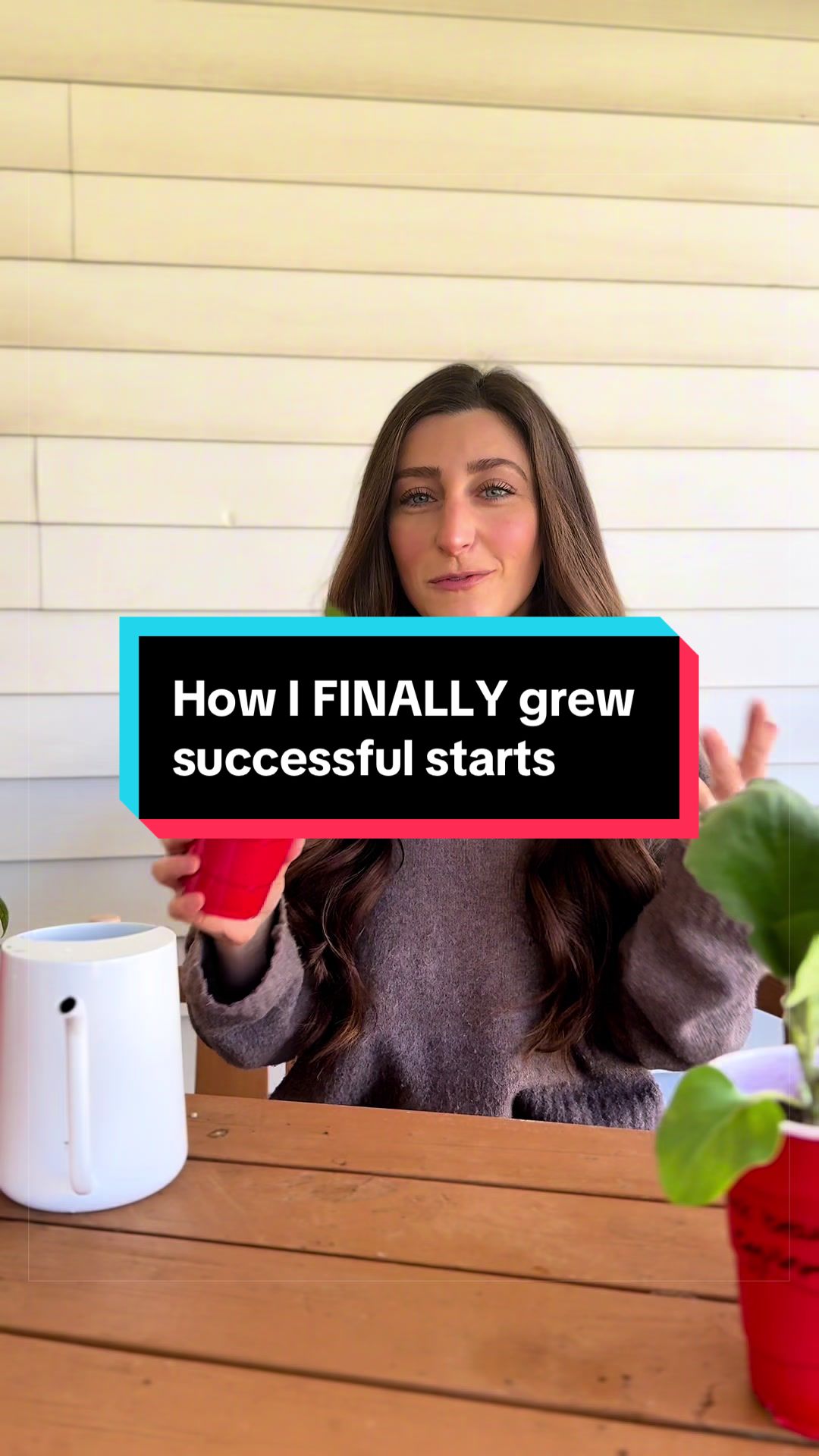 @Kylie | Garden & DIY👩🌾
