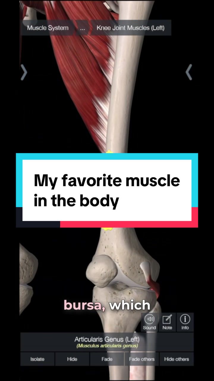 @Jacob Travis, PT, DPT, OCS