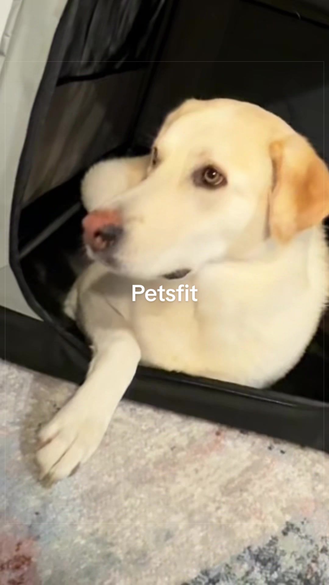 @natehyung