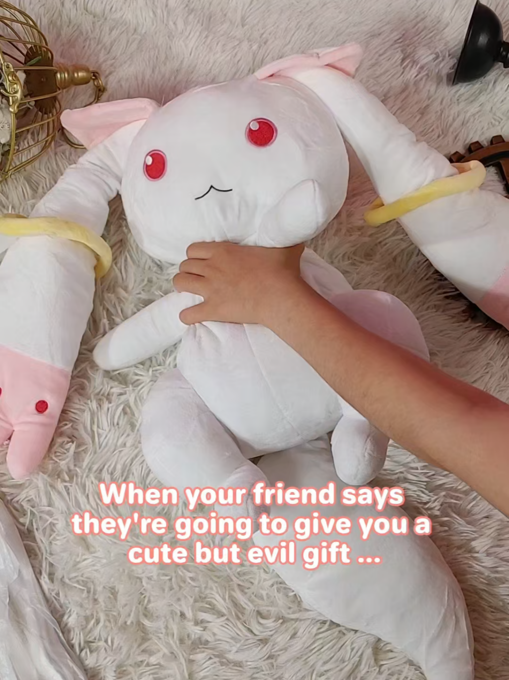 @micotaku.com