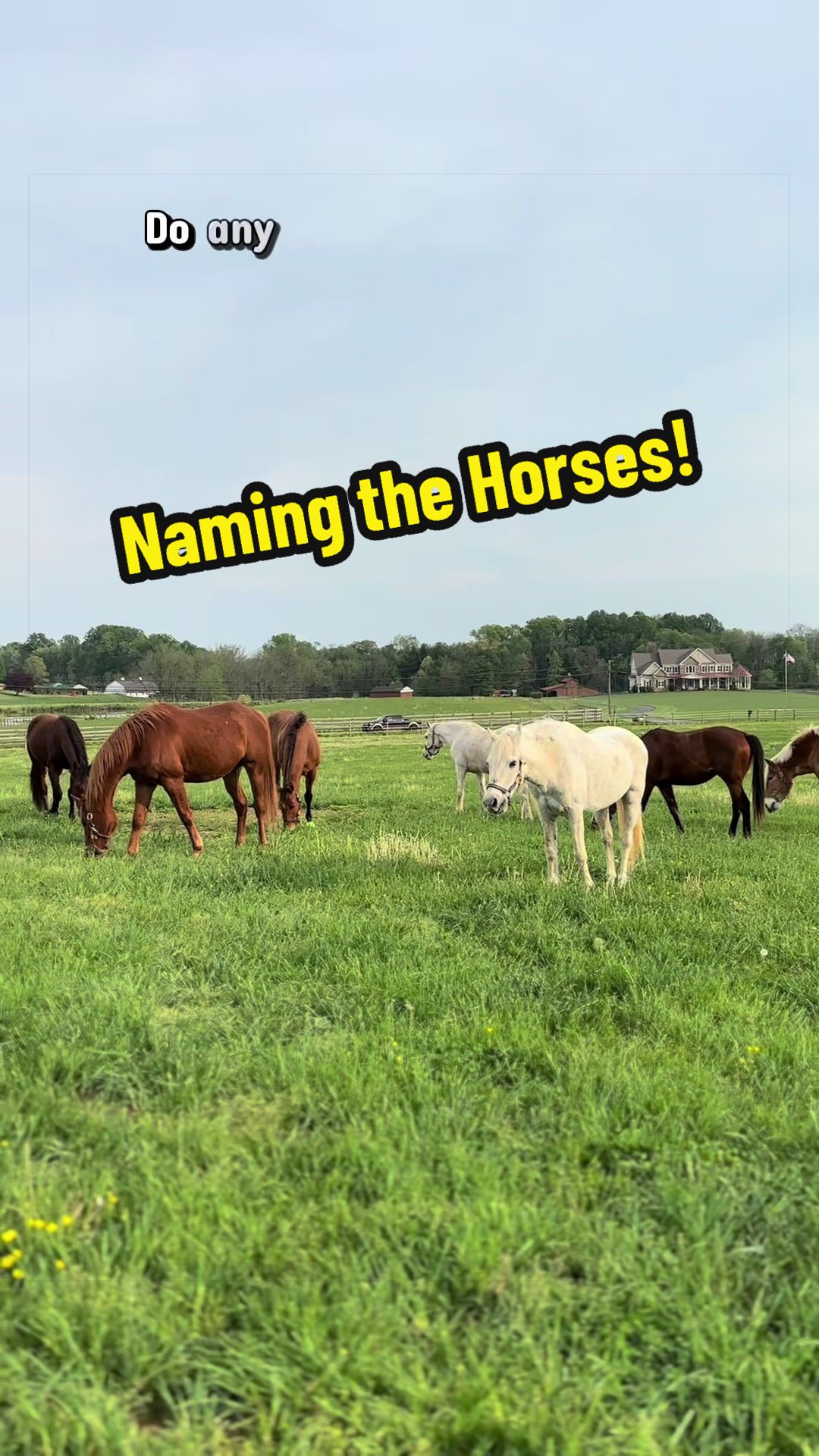 @Days End Farm Horse Rescue