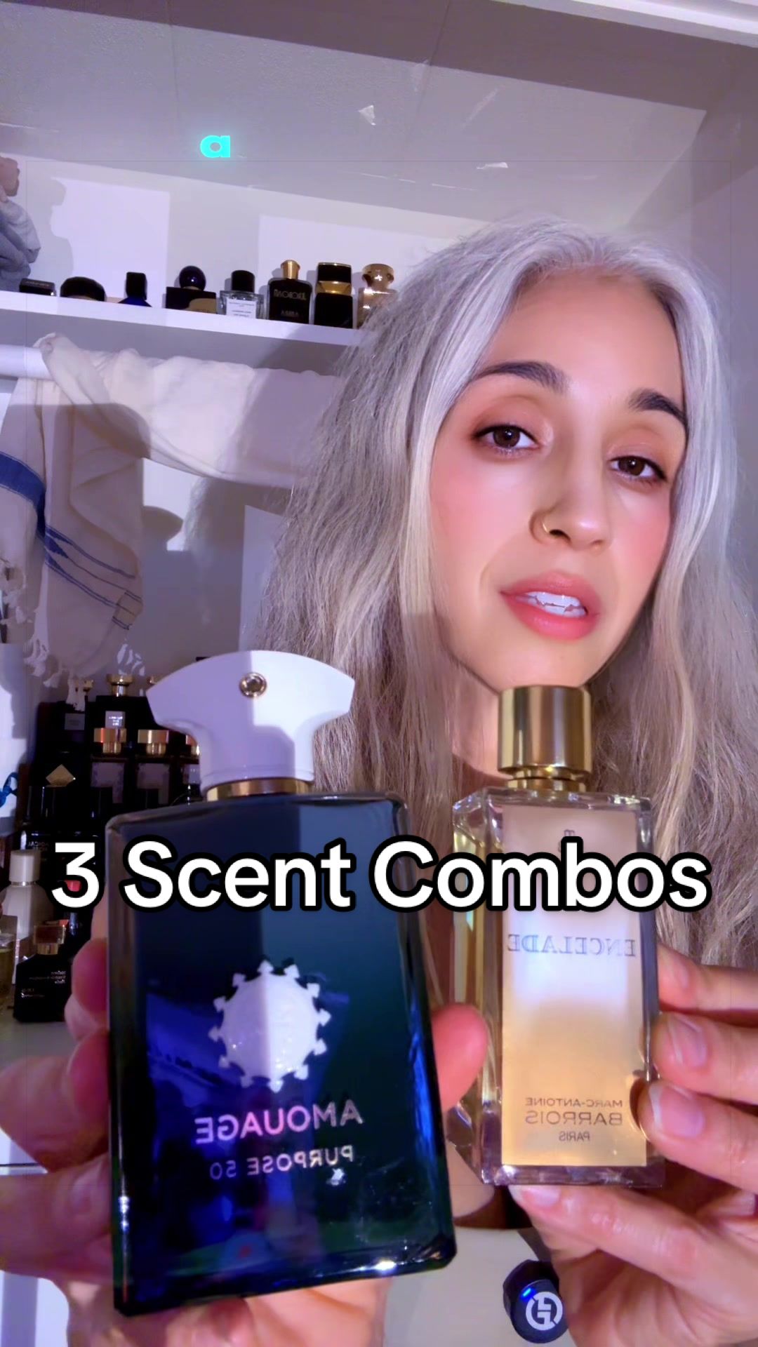 @scentient bean