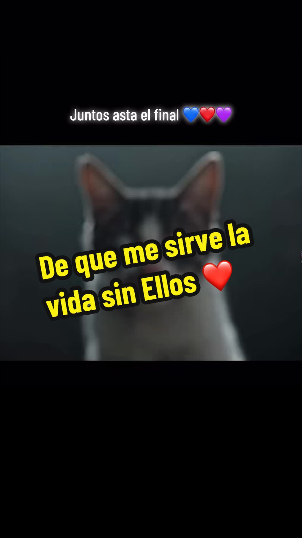 @🦖 MEOWassic World 🌎
