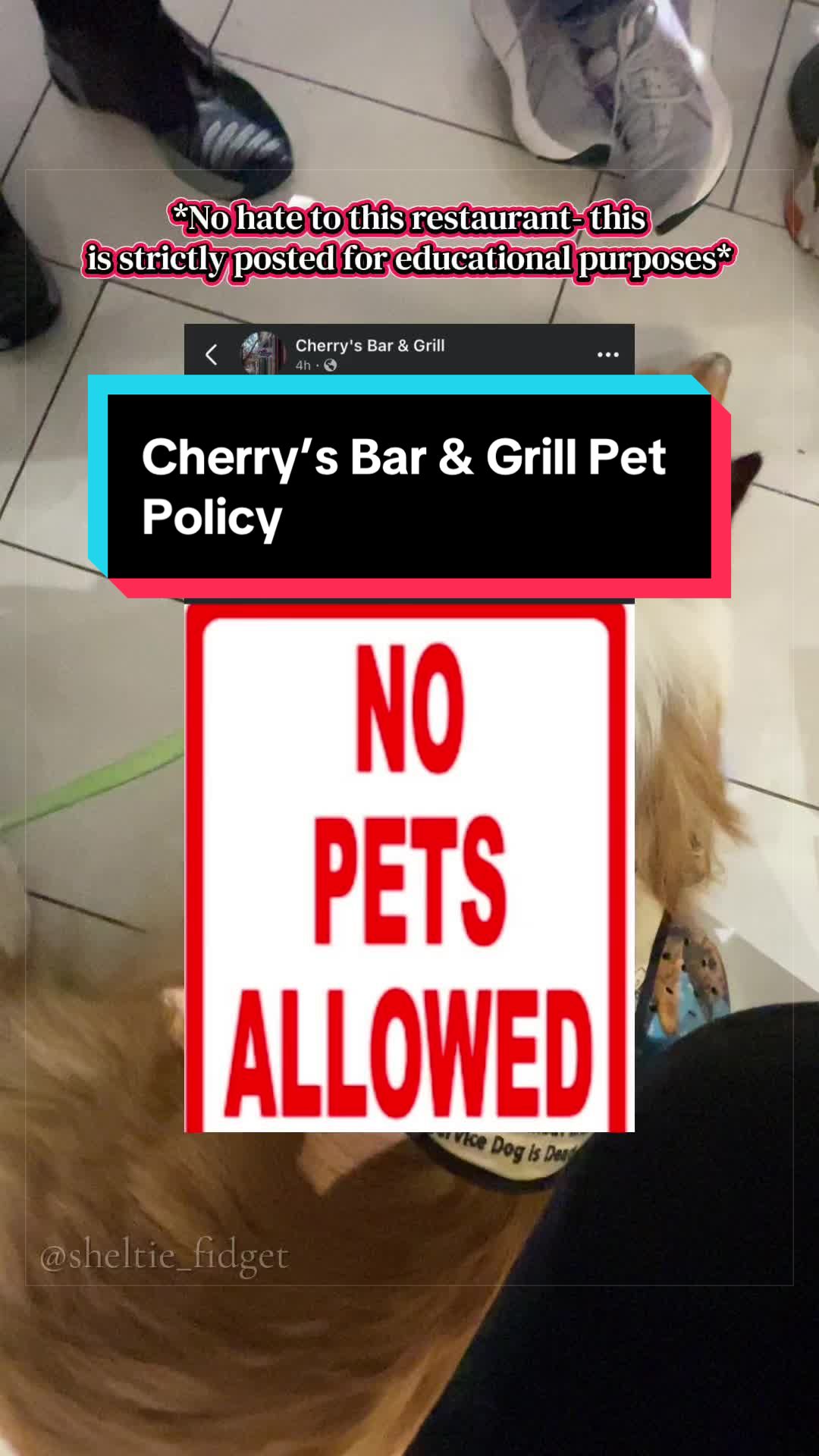 @Dakota & Pups