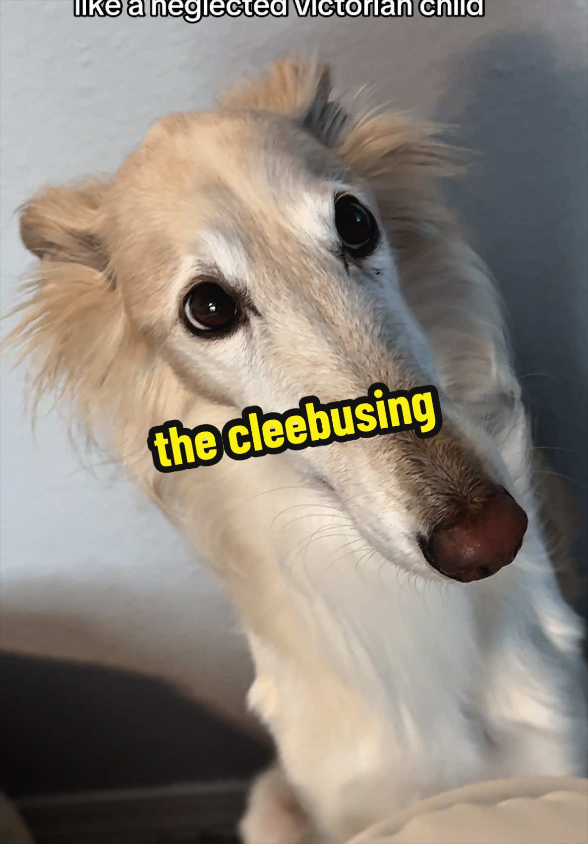 @cleolonglegs