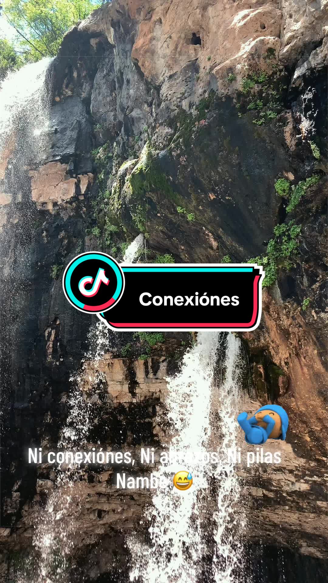 @Alan_Mtz656 🇲🇽 🐻