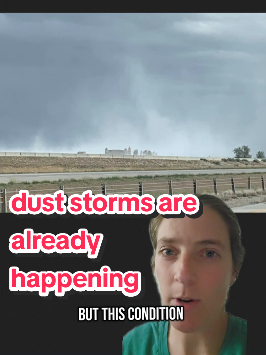 @LadyOfTheGreatSaltLake