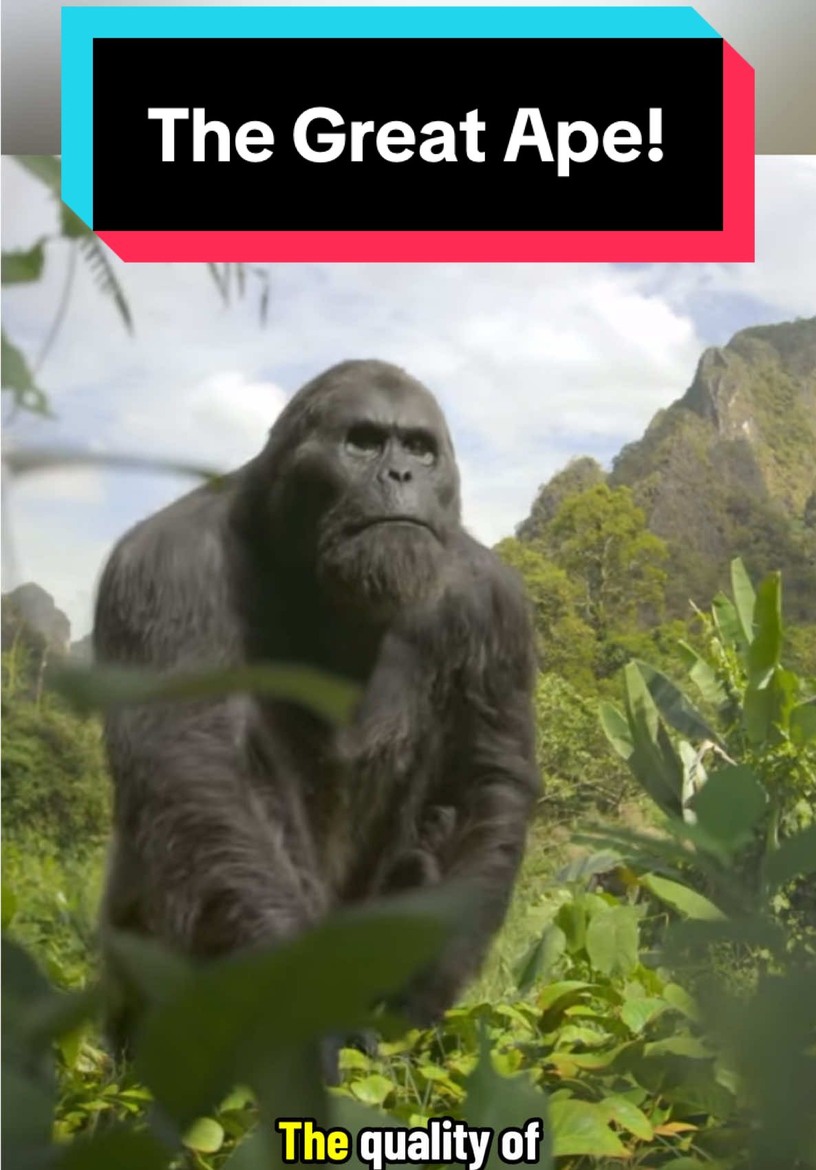 @Dino Guy