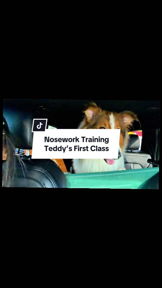 @FromMeetingsToMeals