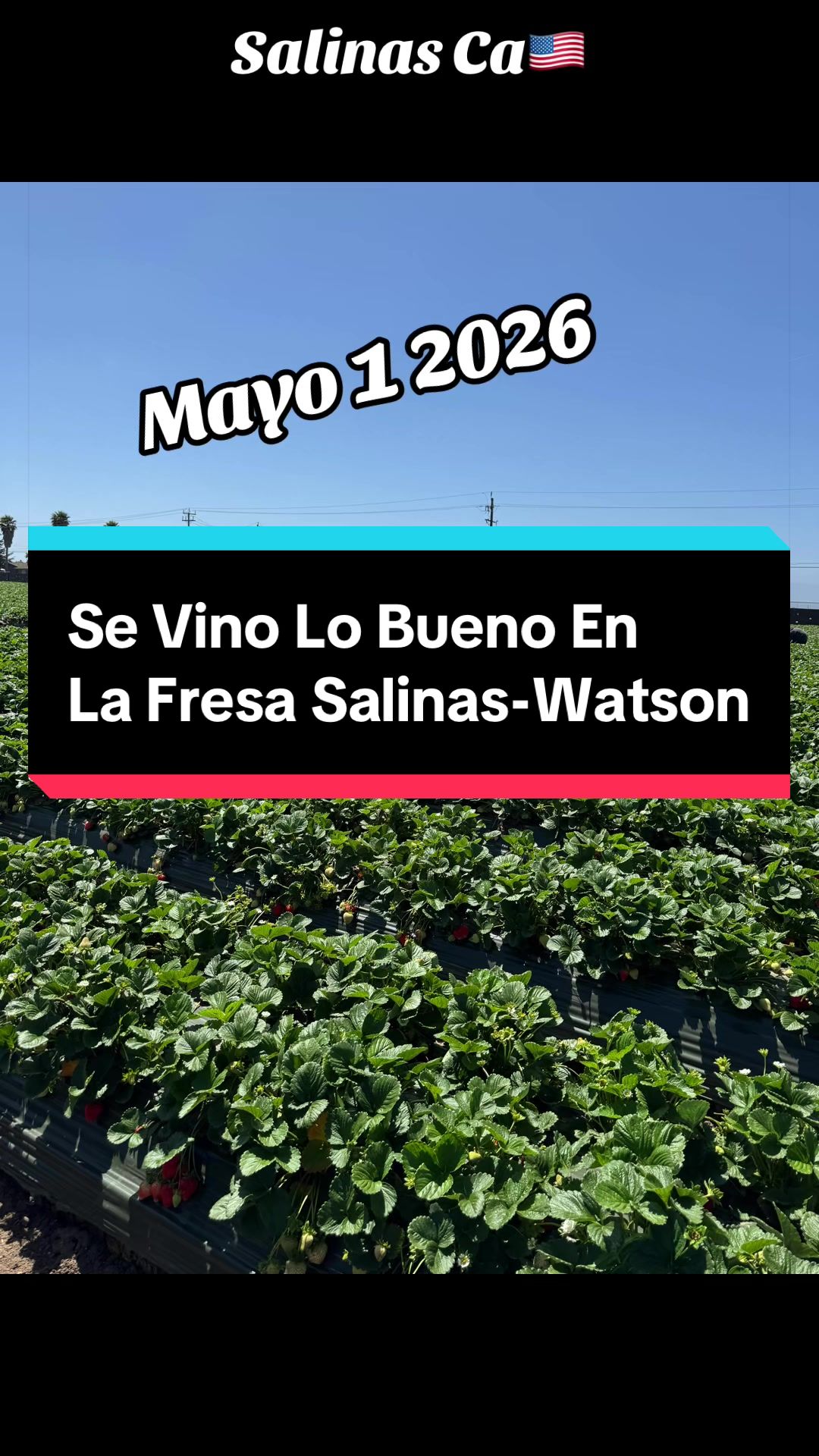 @elbuenavida58