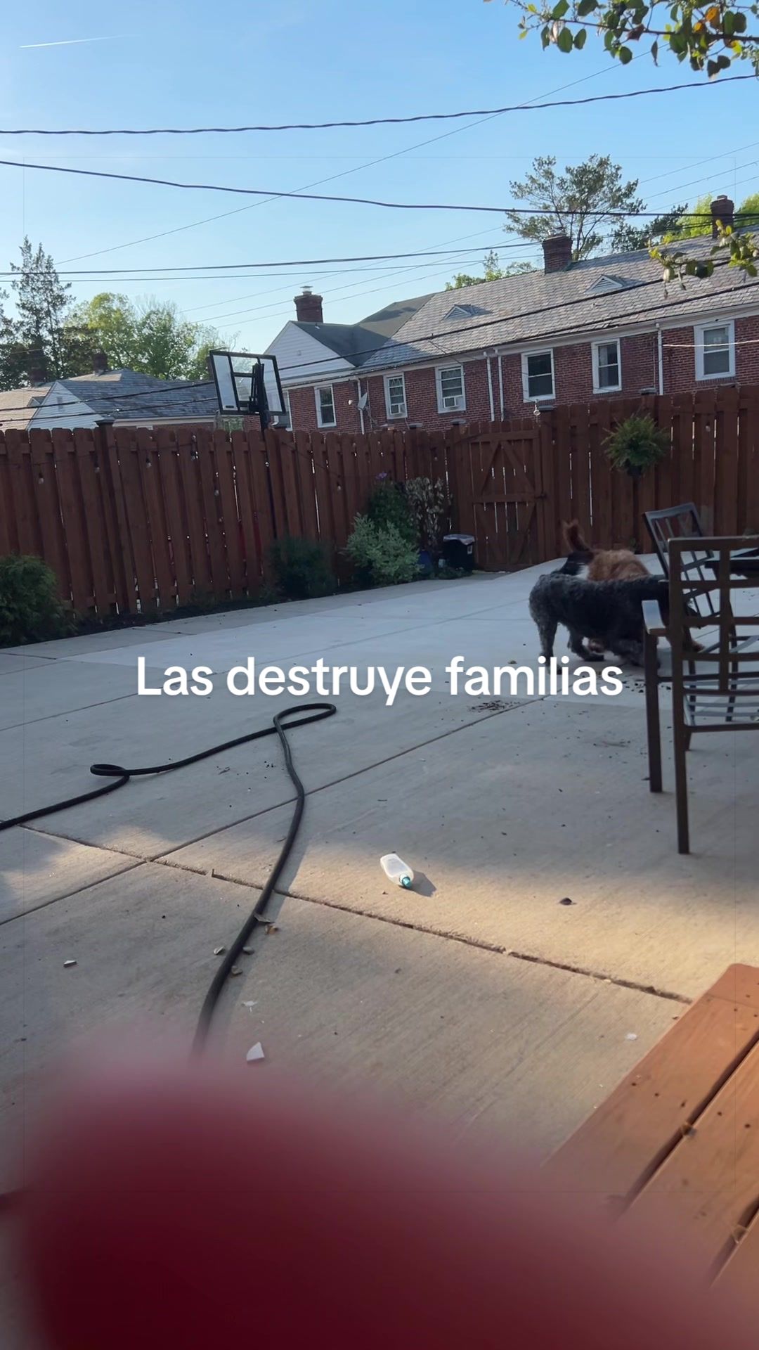 @Luis