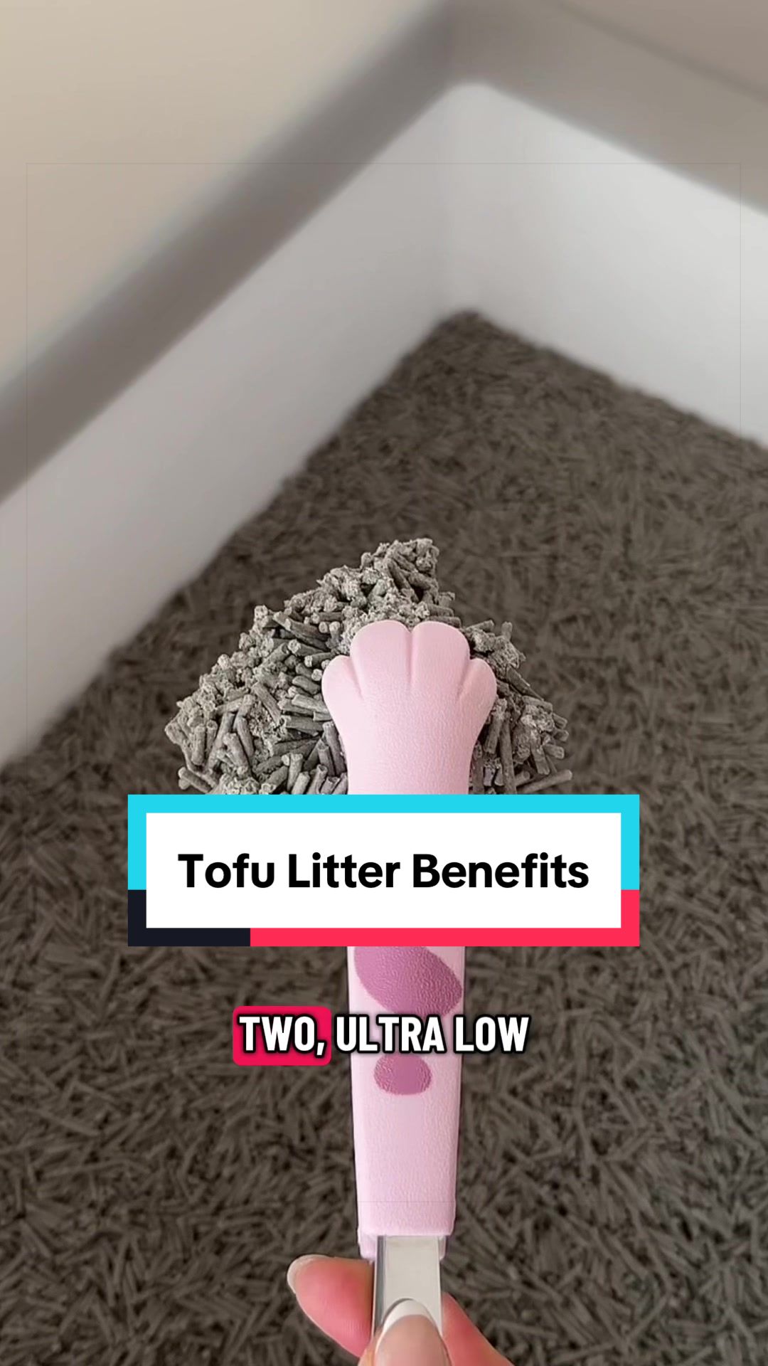 @Tuft & Paw