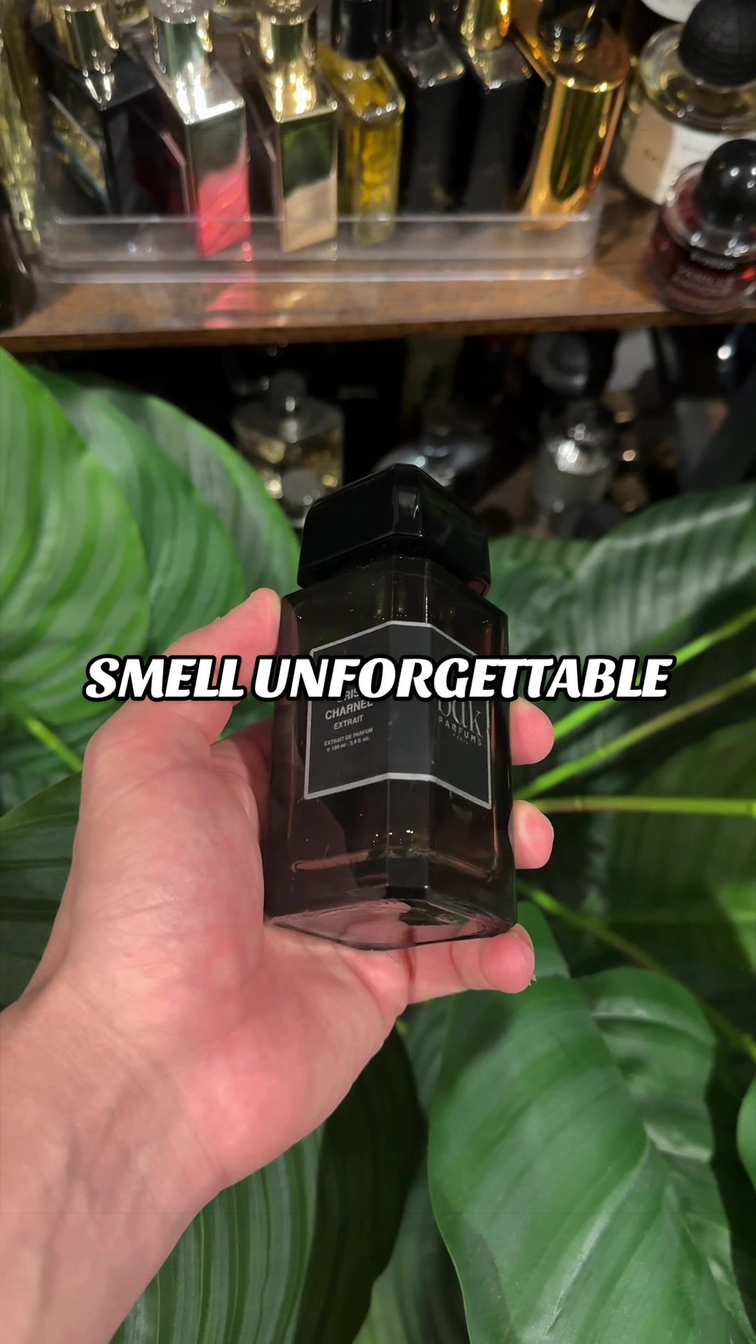 @Nichefragrances
