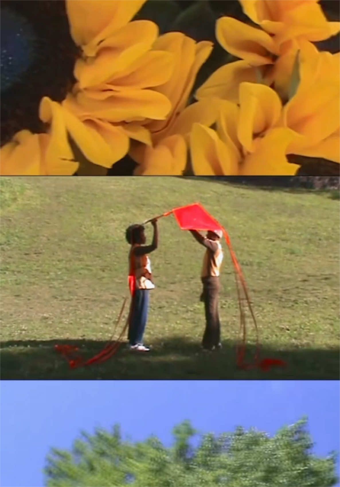 @Dont&eacute;