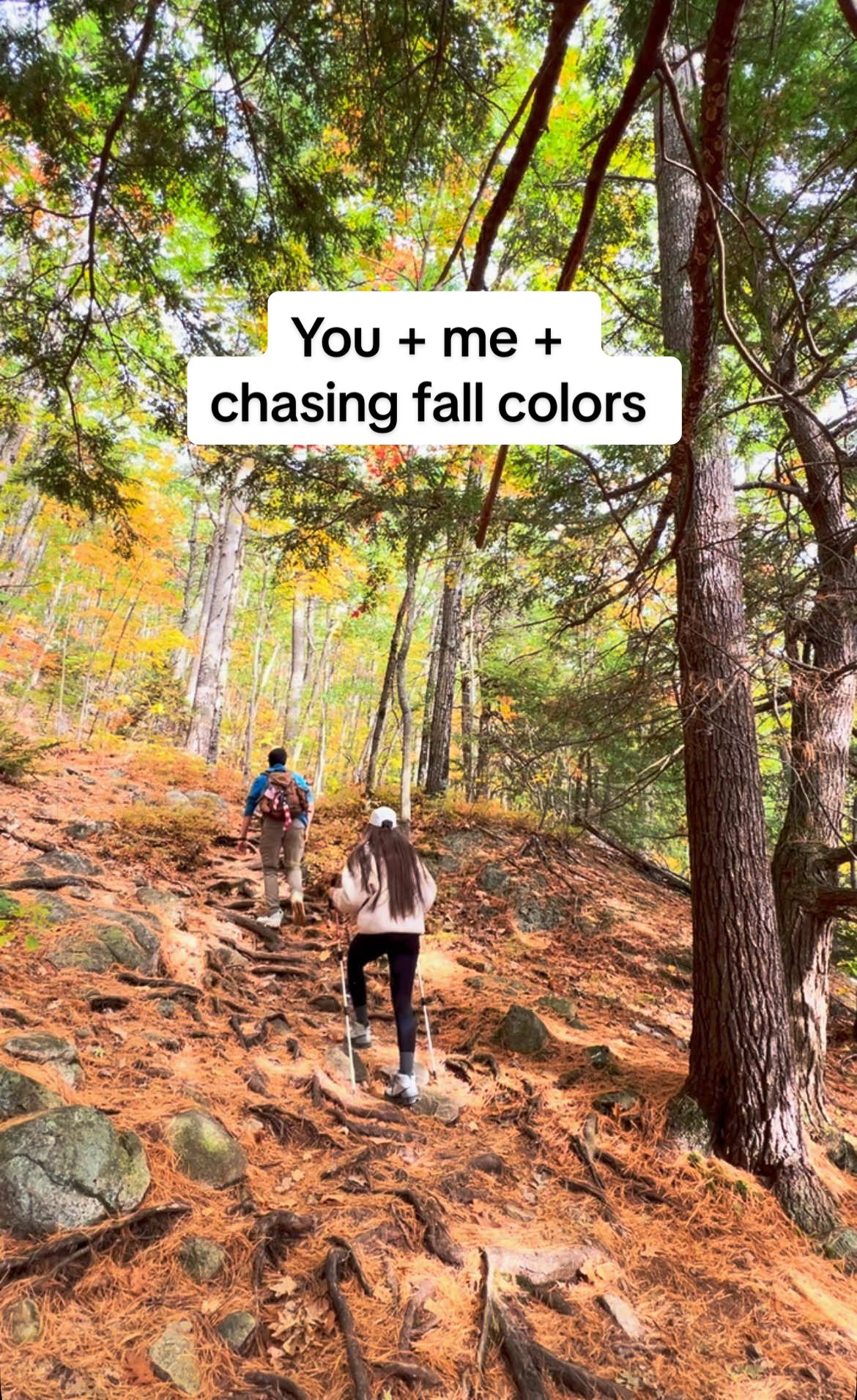 @Sara | New England Creator