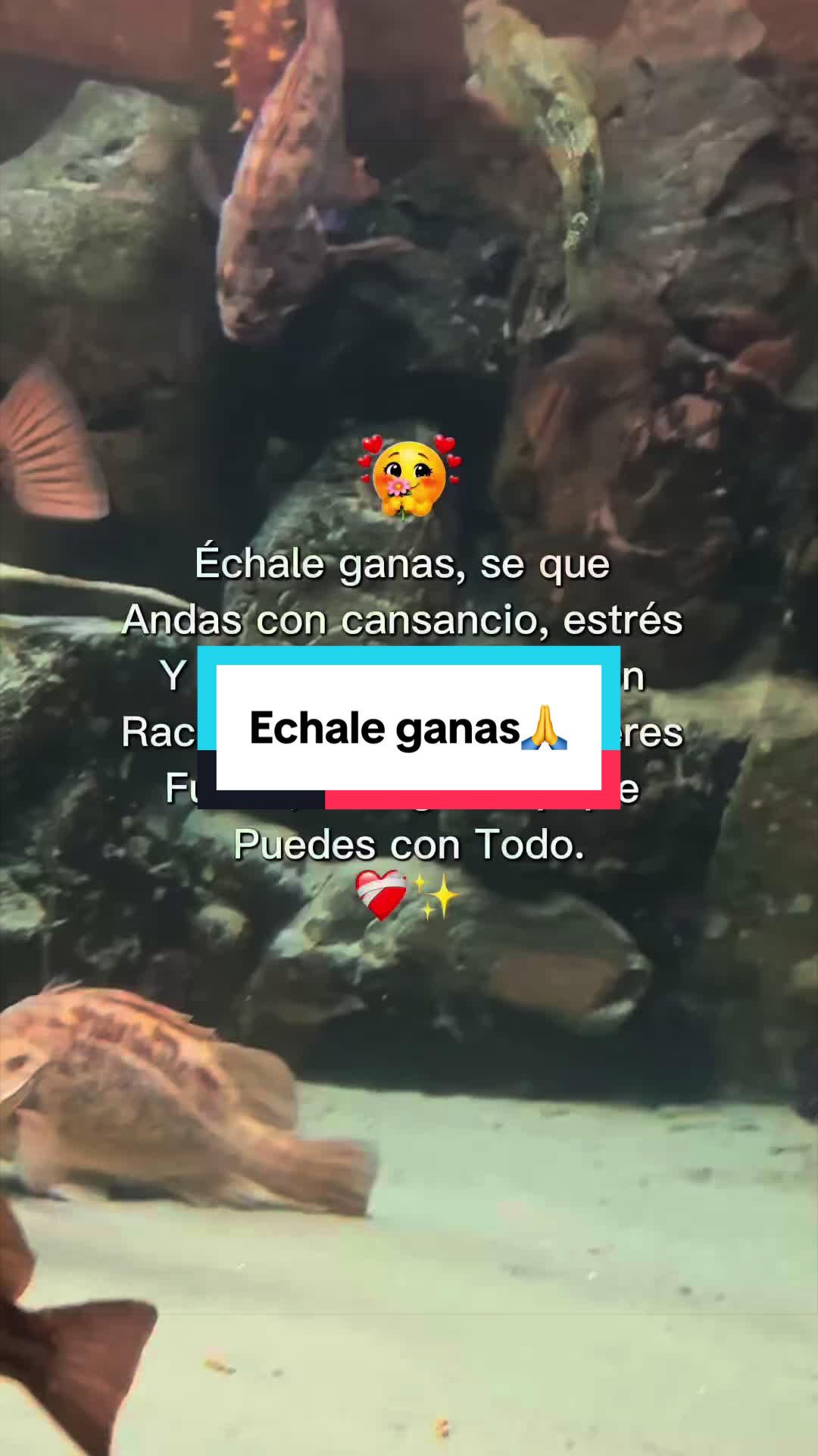 @✨Magdalena🥀✨