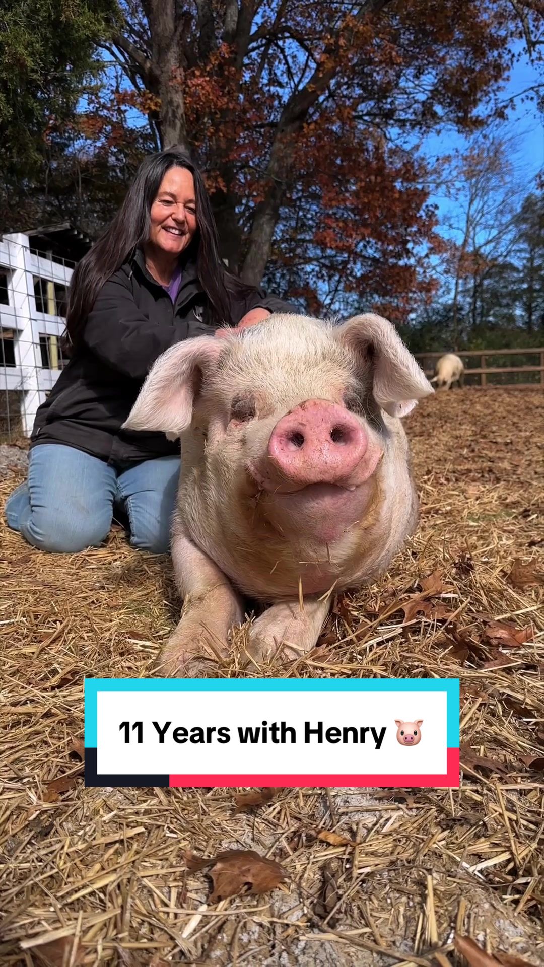 @The Gentle Barn | Sanctuary