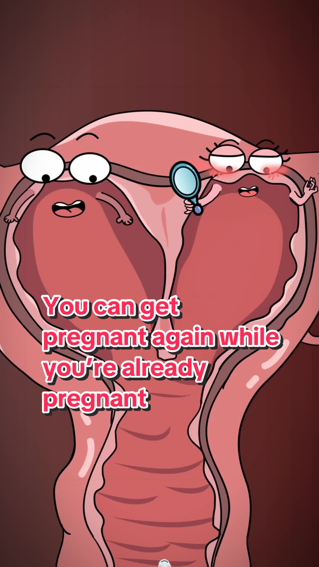 @Funny Animations