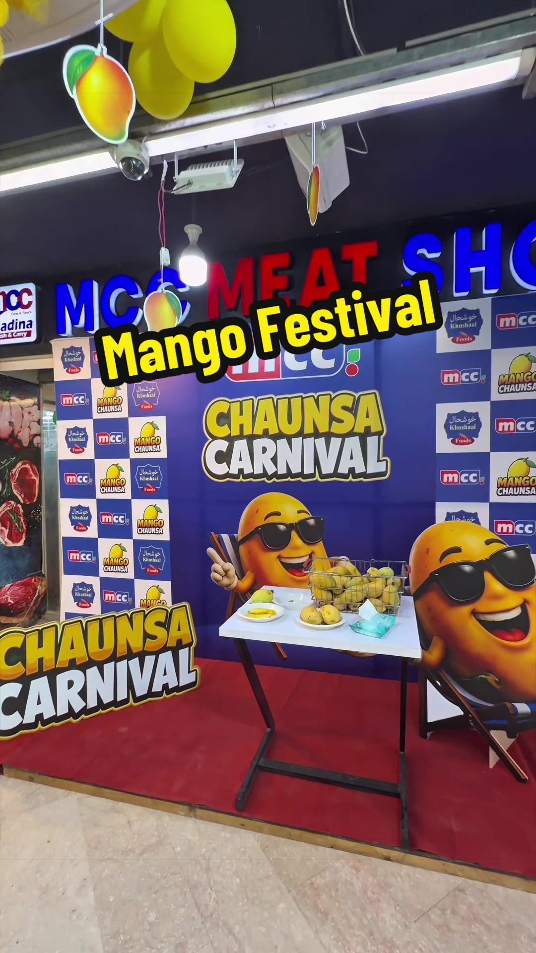 @gorapakistanivlogs