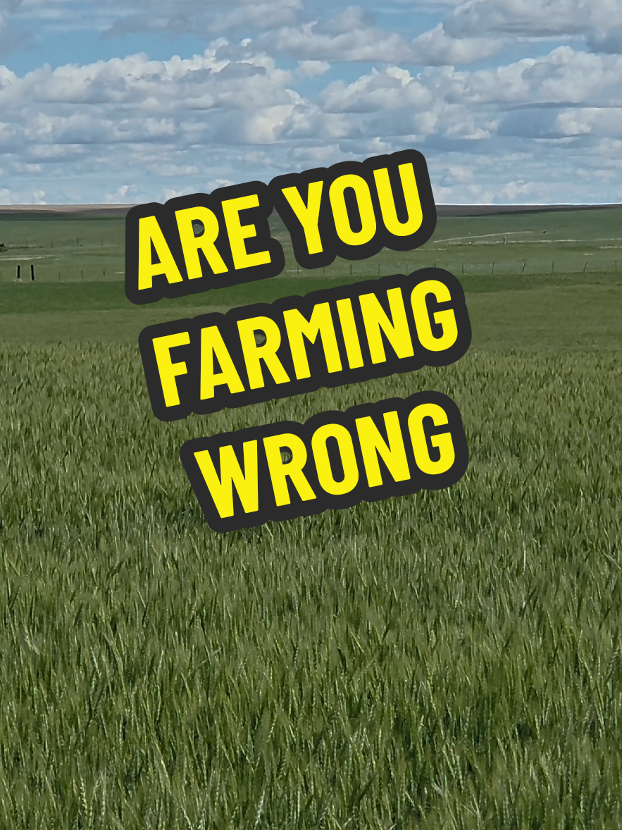 @1HANDNFARMING 🦾🌾🐂🚜