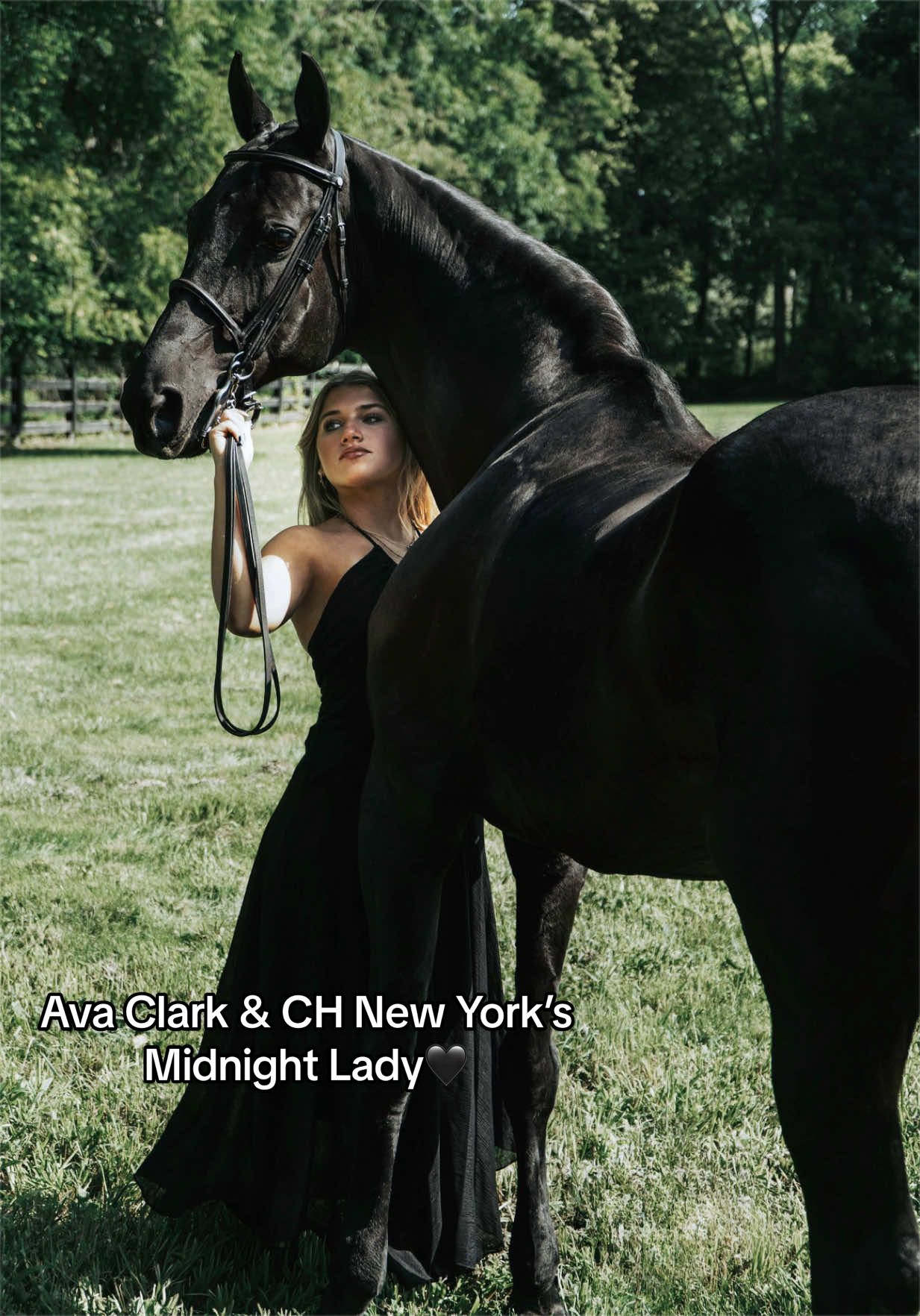@Seraphim&ensp;Stables