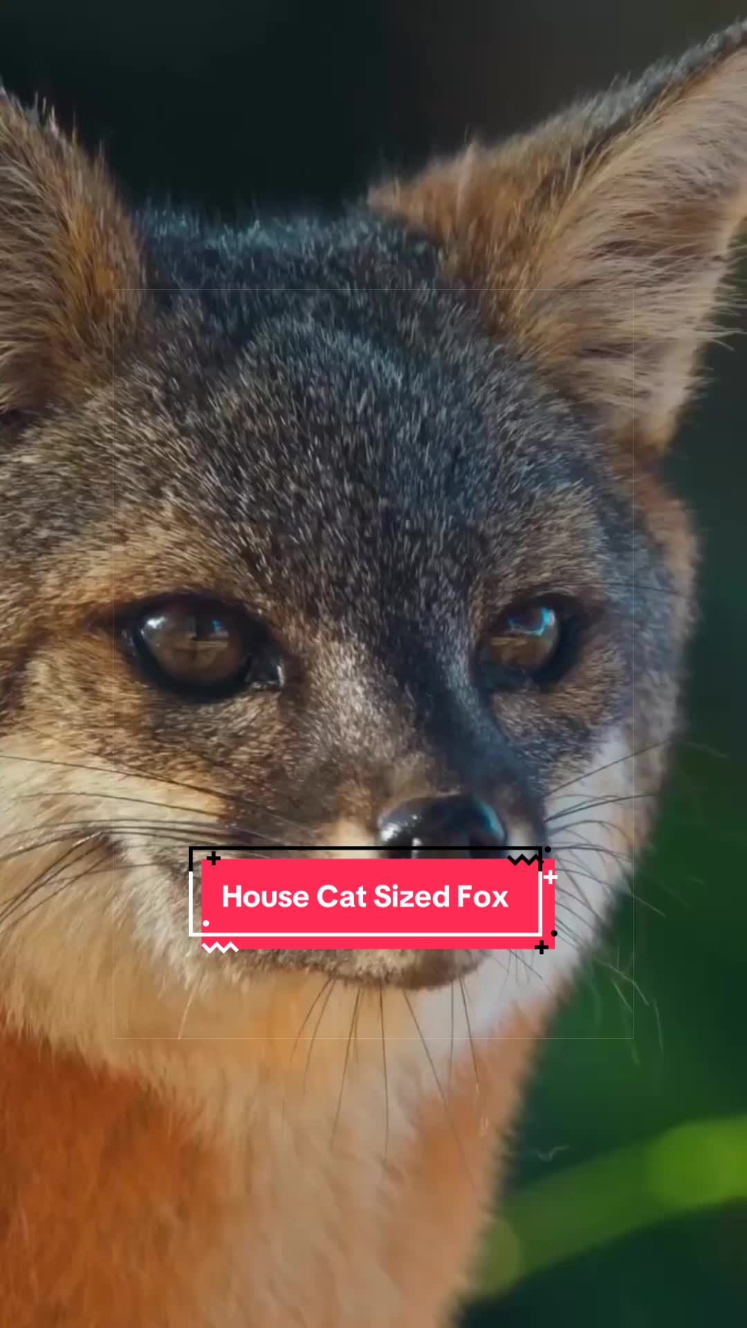 @Snugbarn