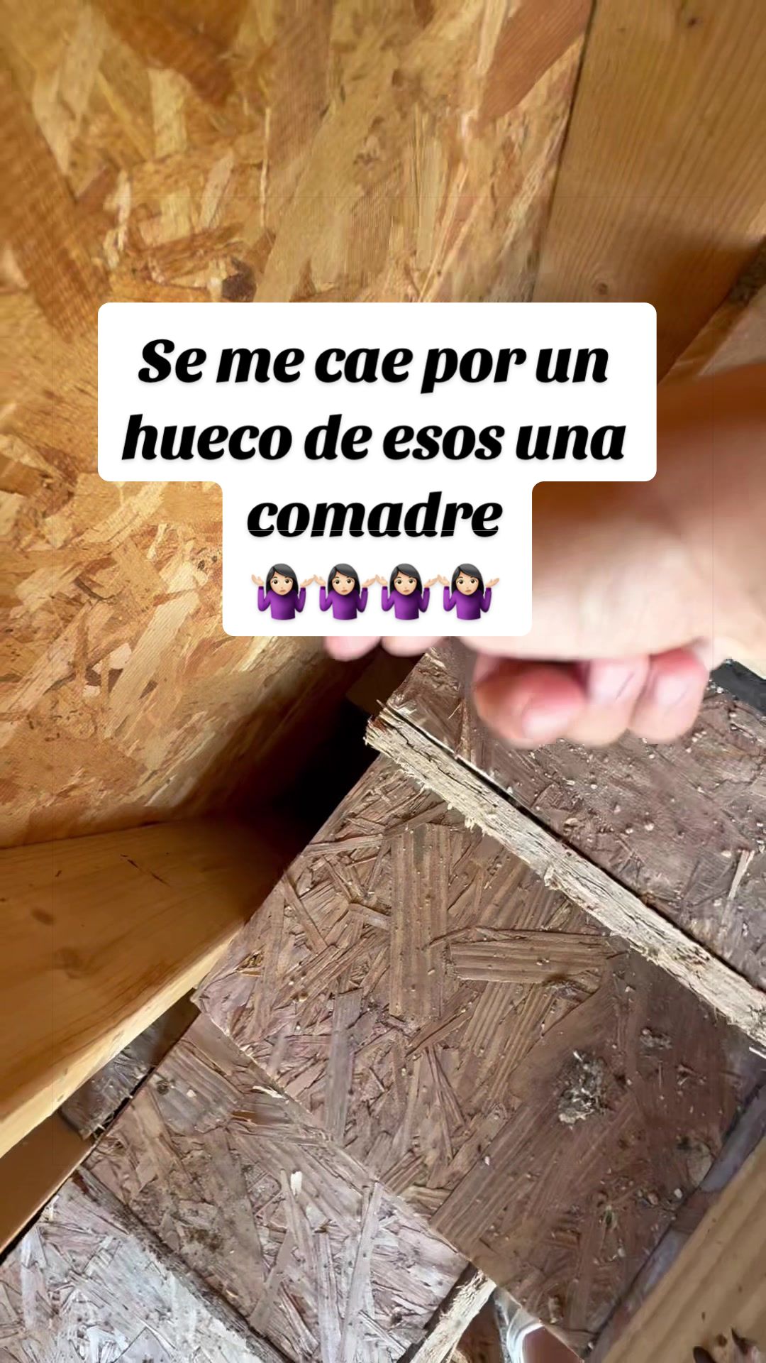 @Elianne Martinez