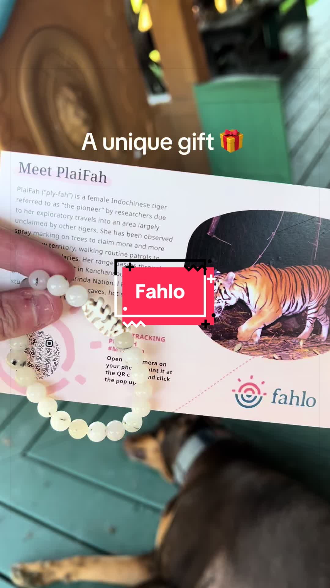 @Tashia | family fun |