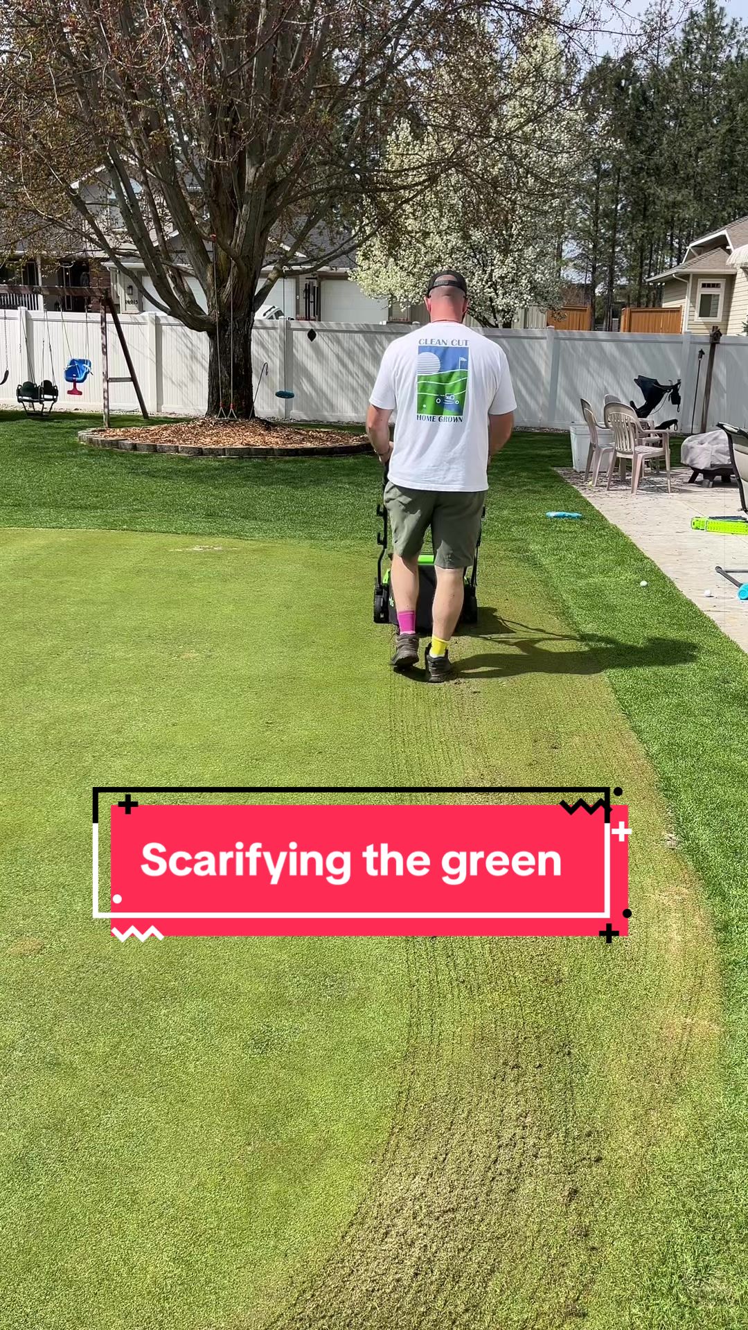 @Lawngest Yard