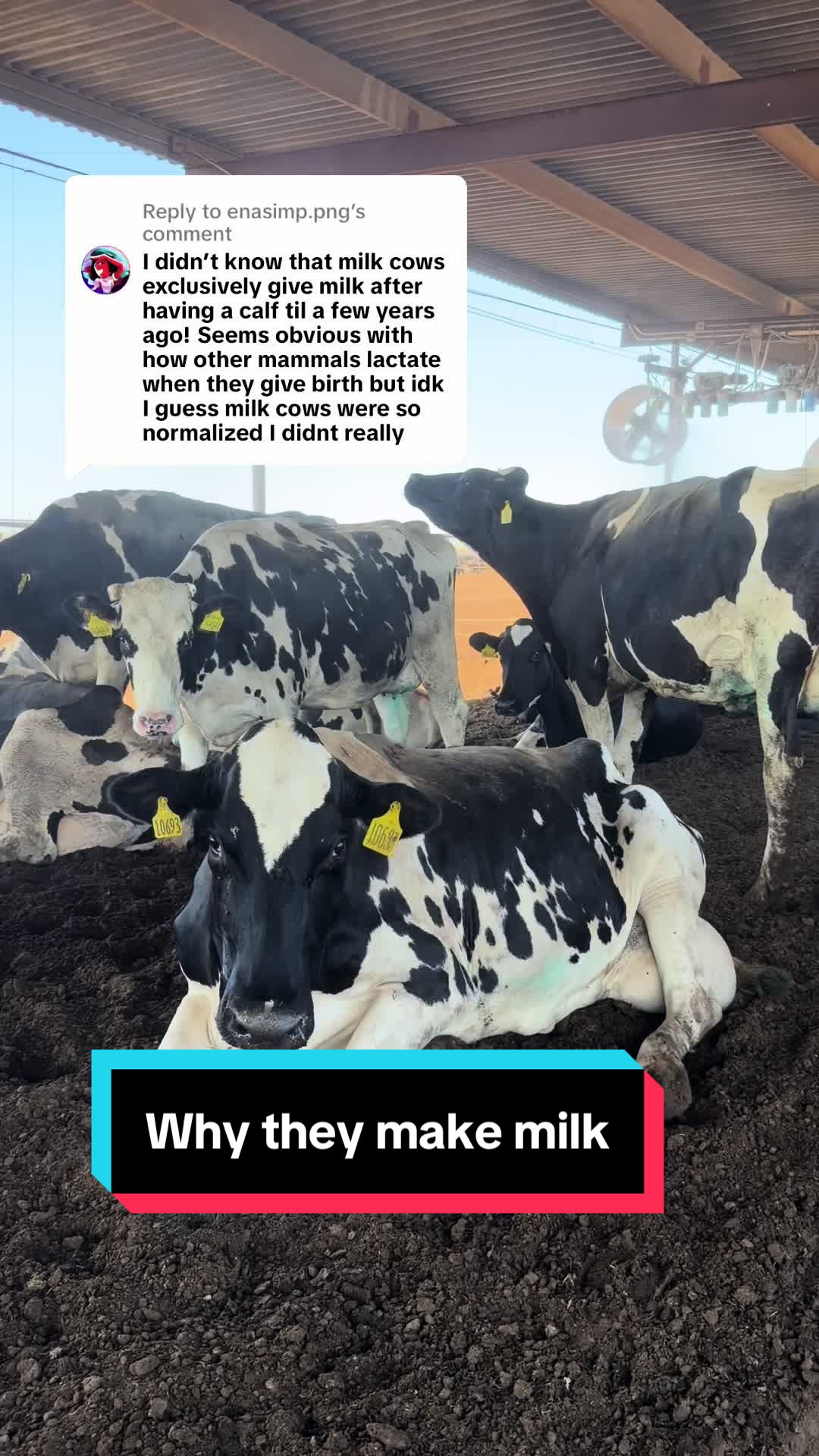 @Dairy Vet Dr. Michelle