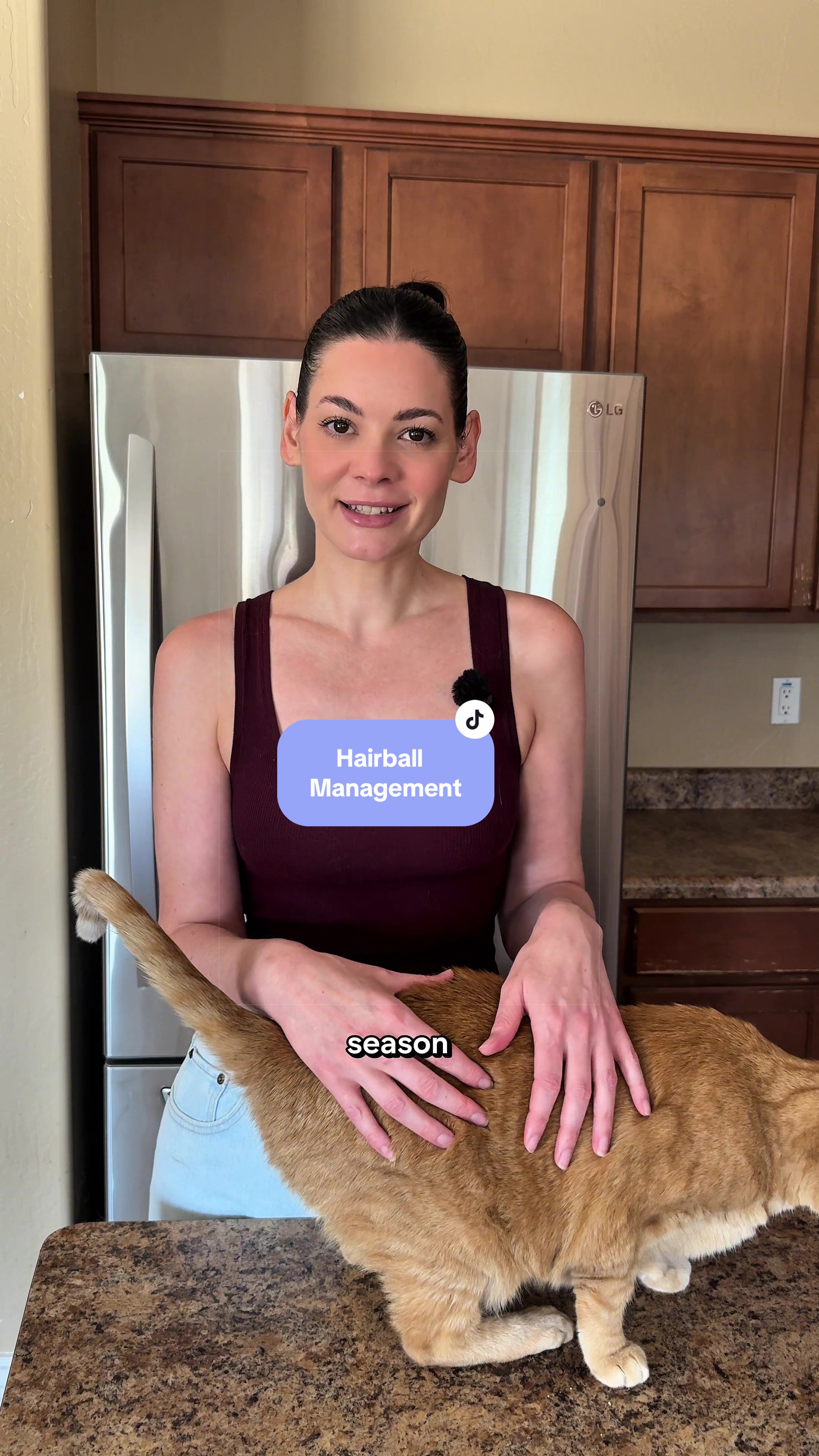 @Feminist Kitty | Cat Nutrition