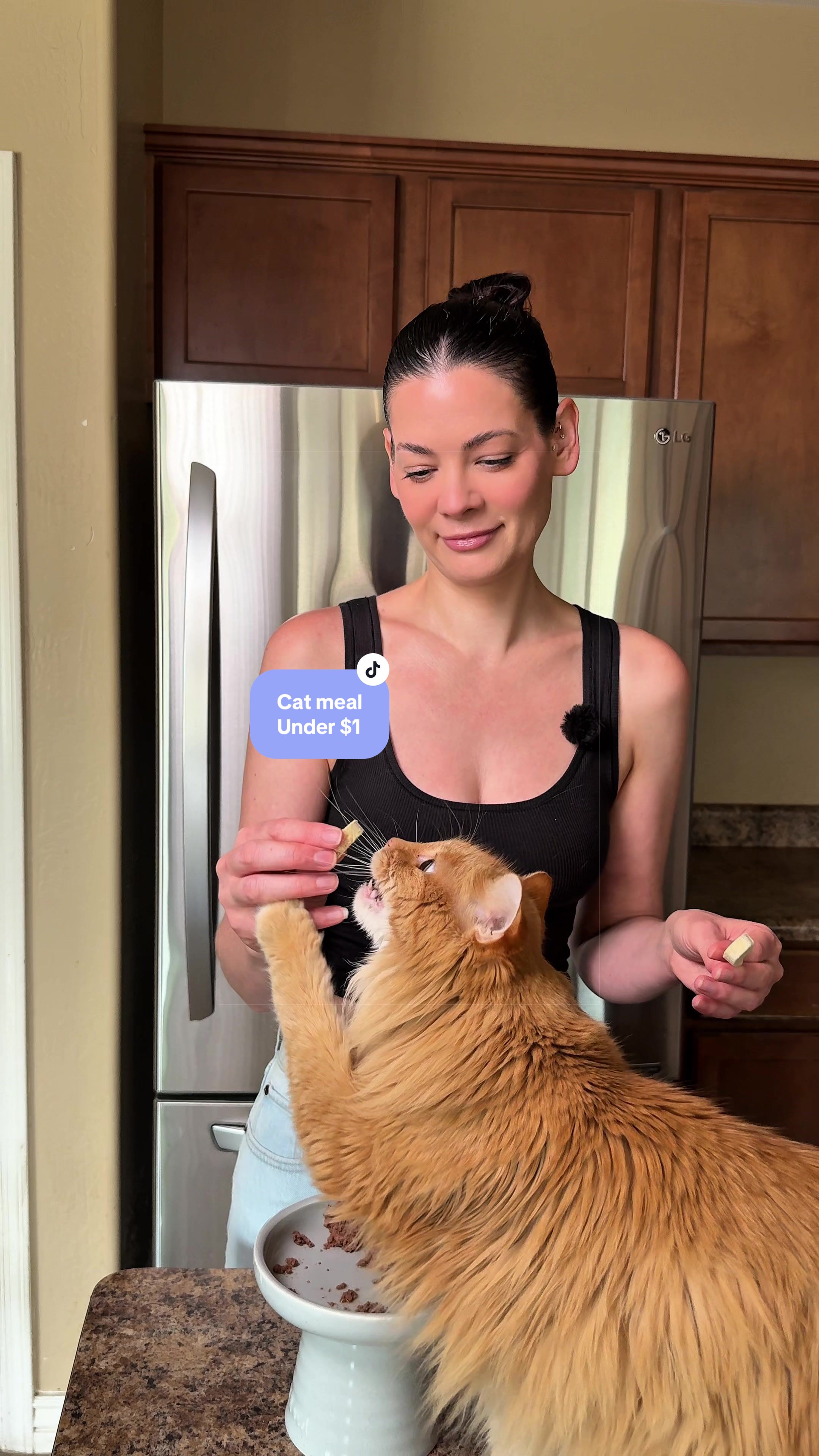 @Feminist Kitty | Cat Nutrition