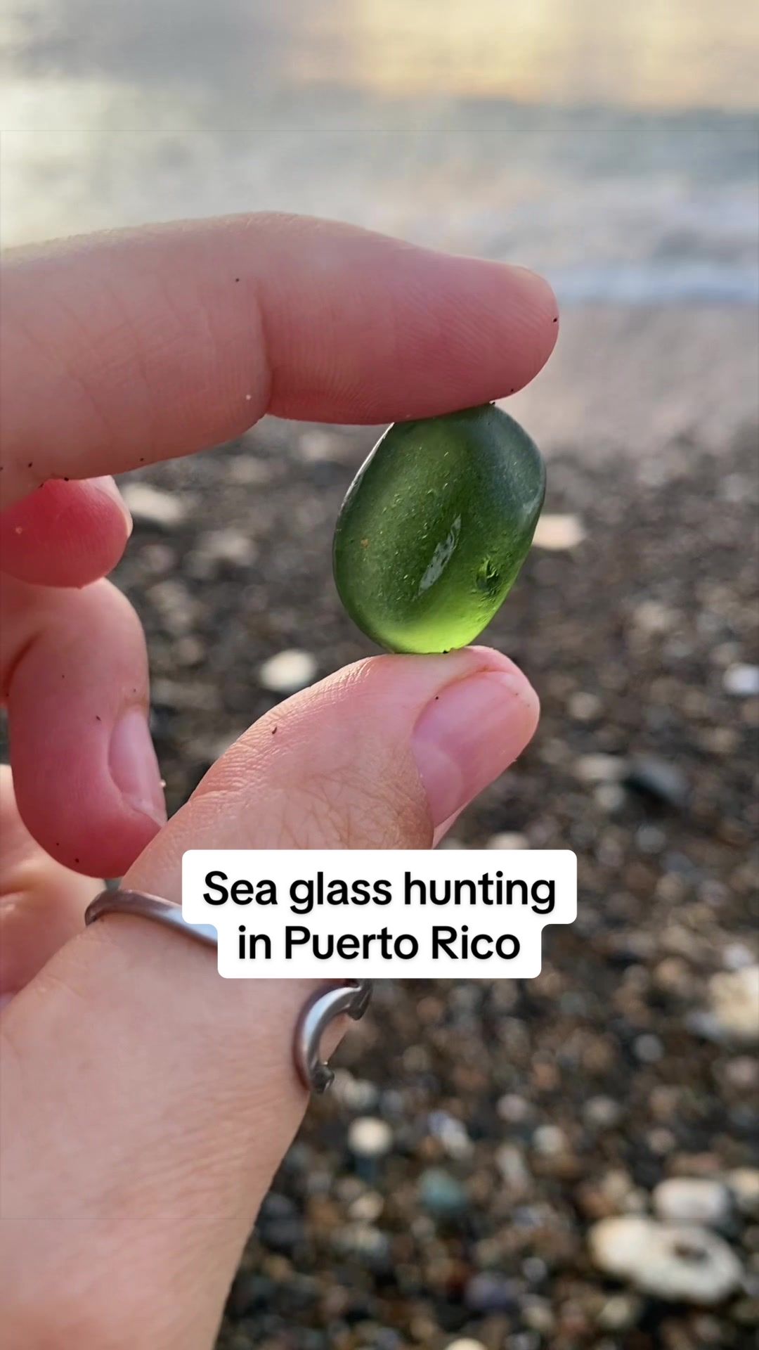 @🐚Jojo🌴