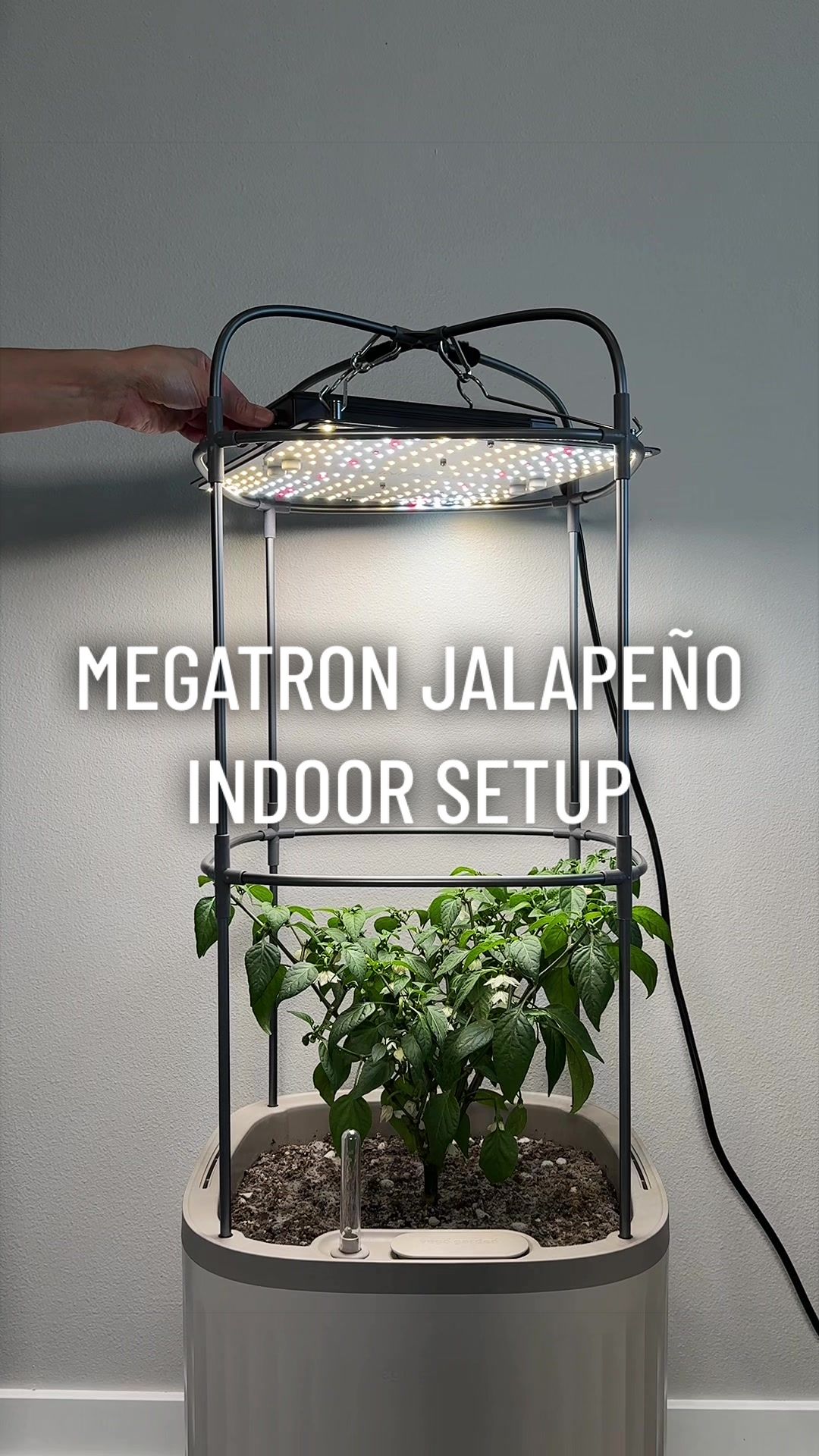 @gardeningindoors