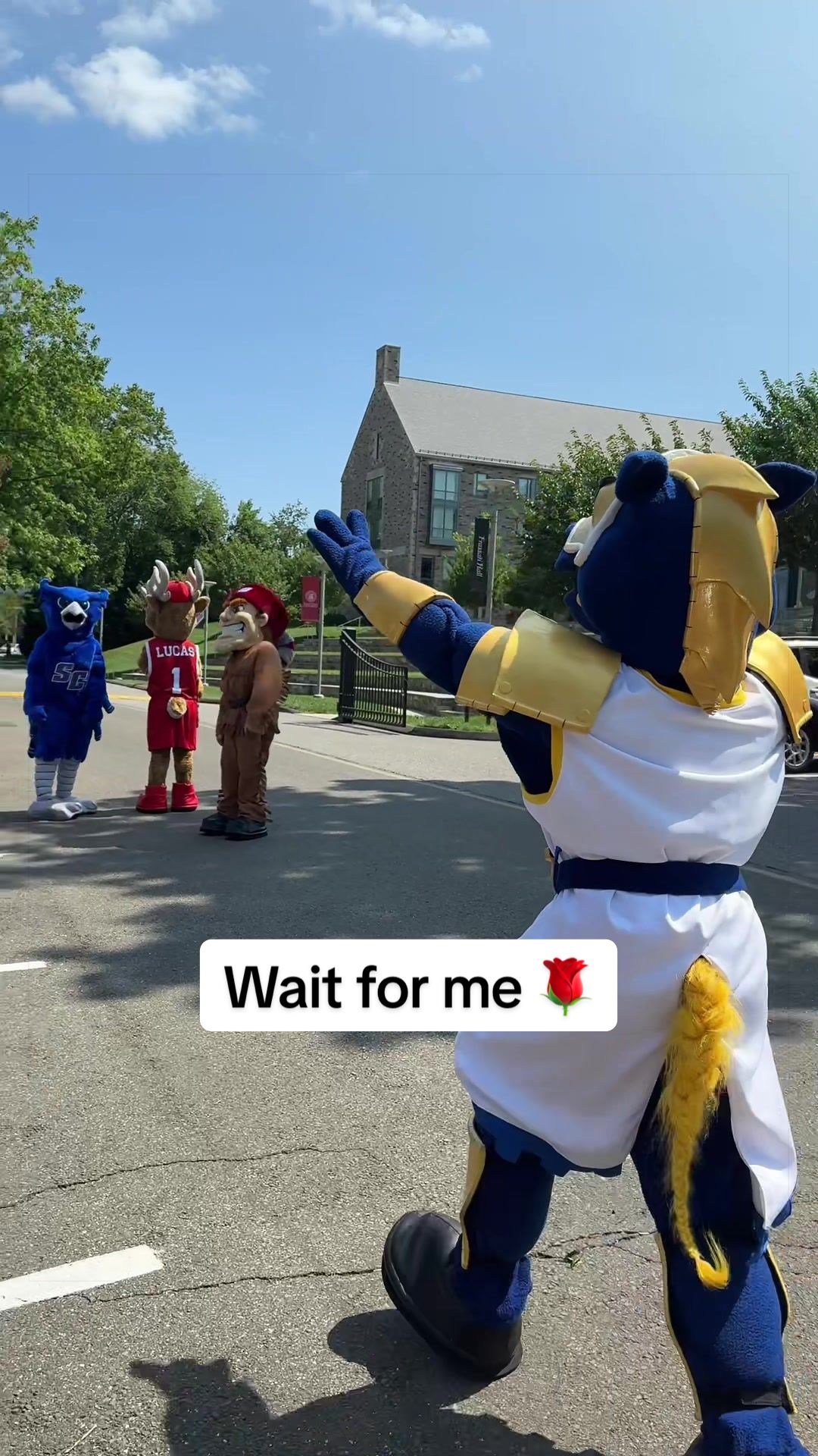 @University of New Haven