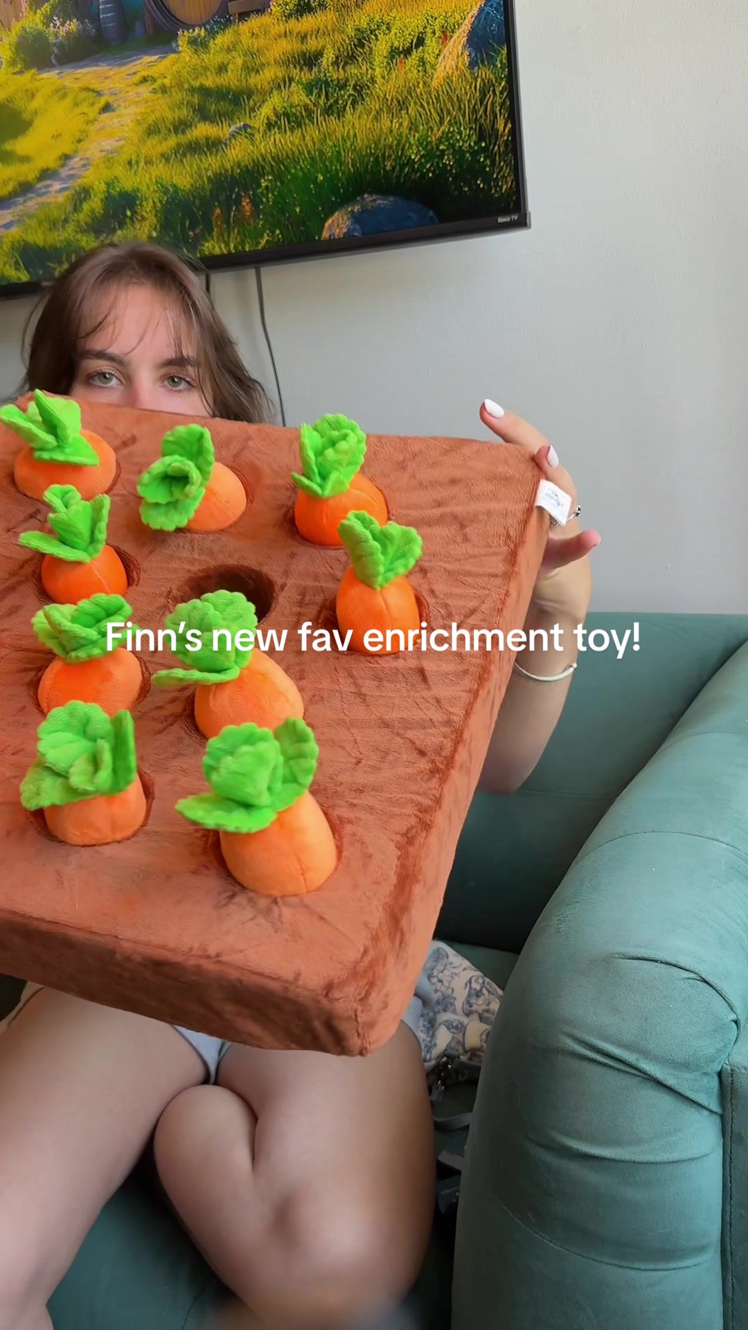 @Finn the Shepsky