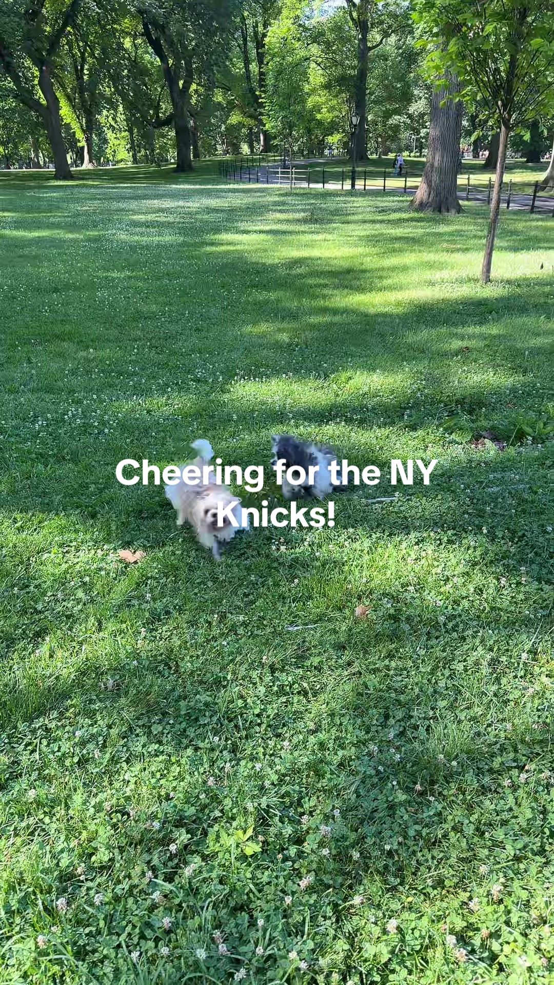 @luluandlola