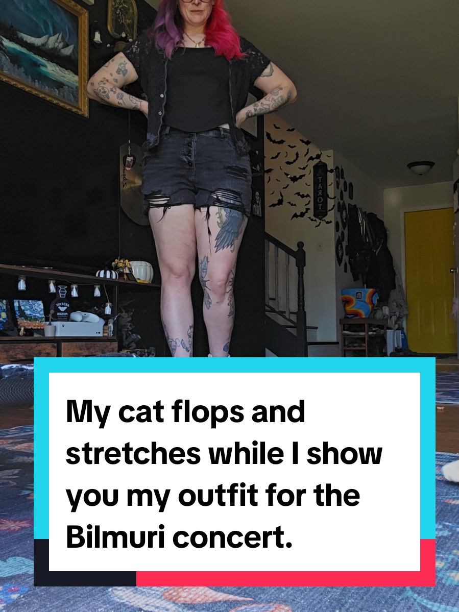 @🌻🐈&zwj;⬛ Ally 📚🦇